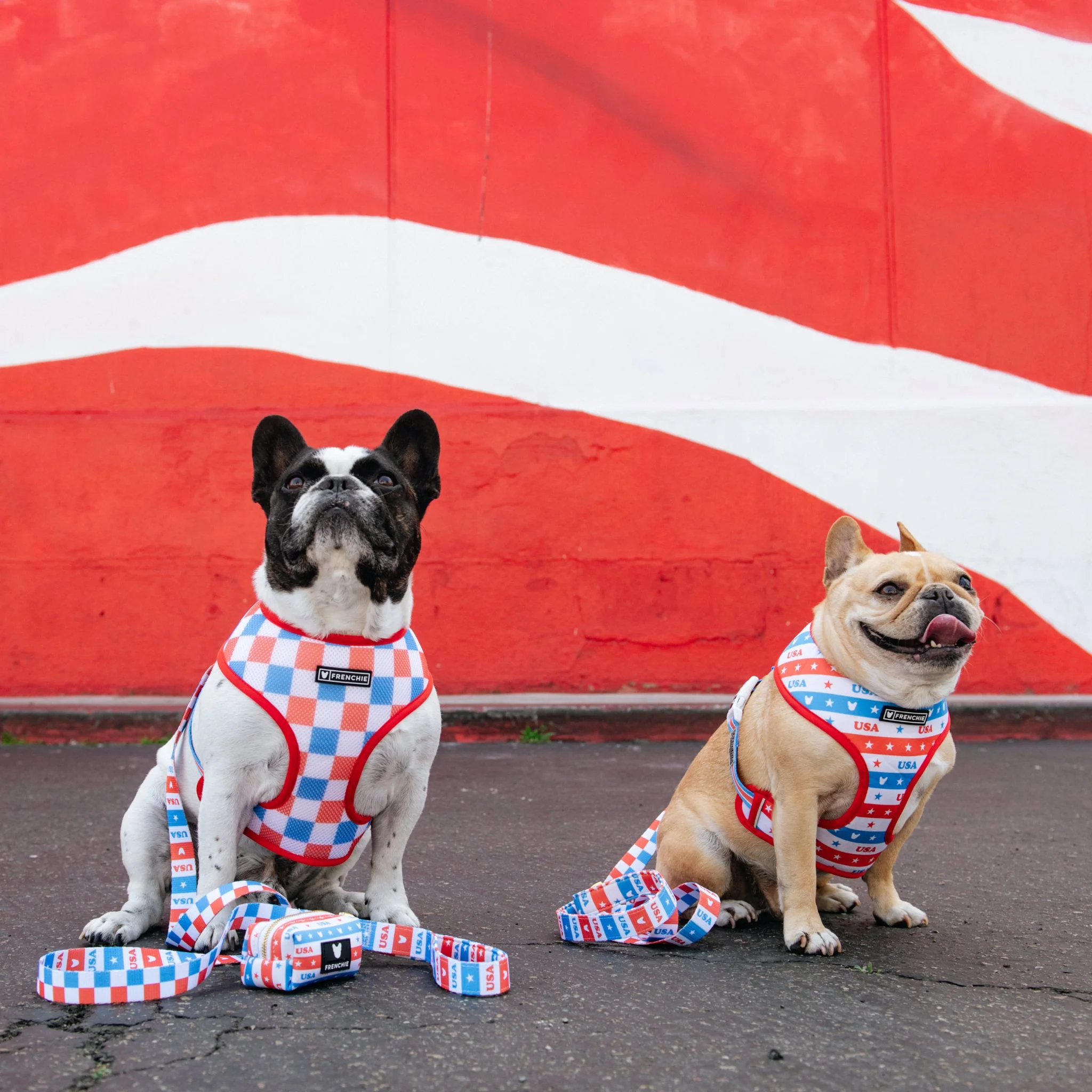 Frenchie Duo Reversible Harness - USA - Image 2