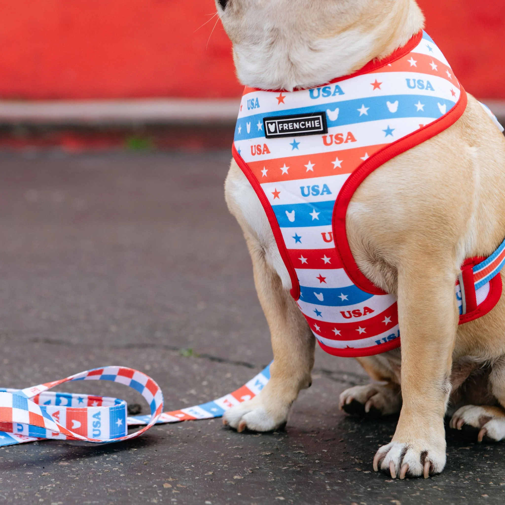 Frenchie Duo Reversible Harness - USA - Image 6