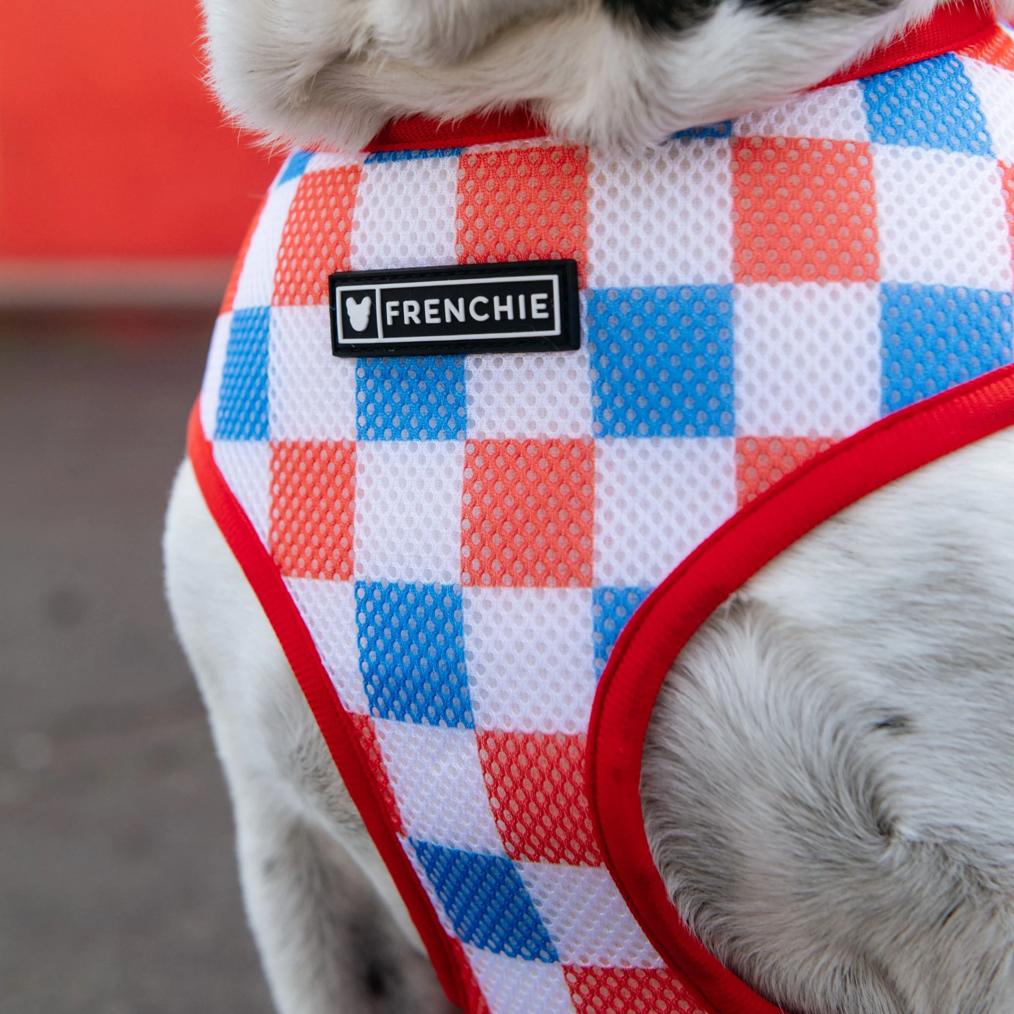 Frenchie Duo Reversible Harness - USA - Image 7