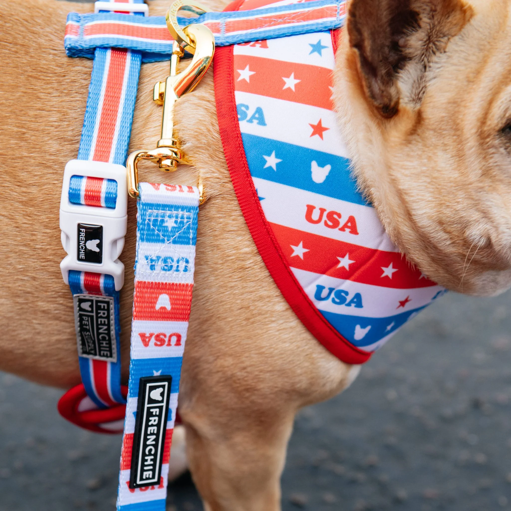 Frenchie Duo Reversible Harness - USA - Image 8