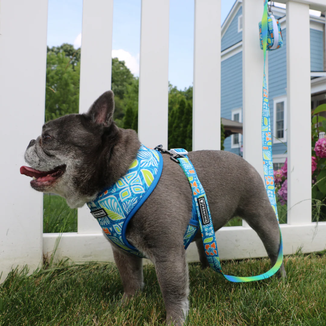 Frenchie Duo Reversible Harness - Waikiki - Image 7