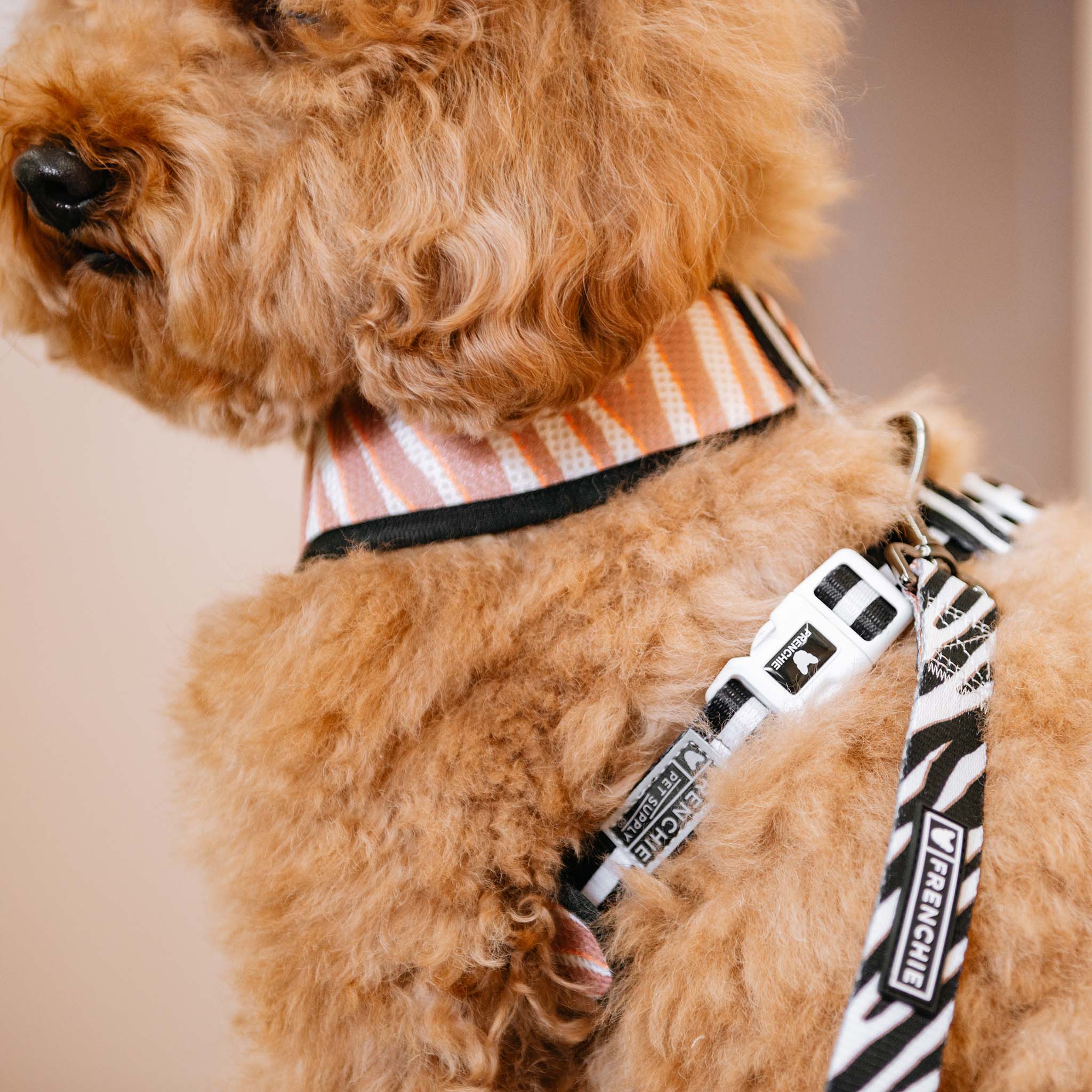 Frenchie Duo Reversible Harness - Zebra - Image 10
