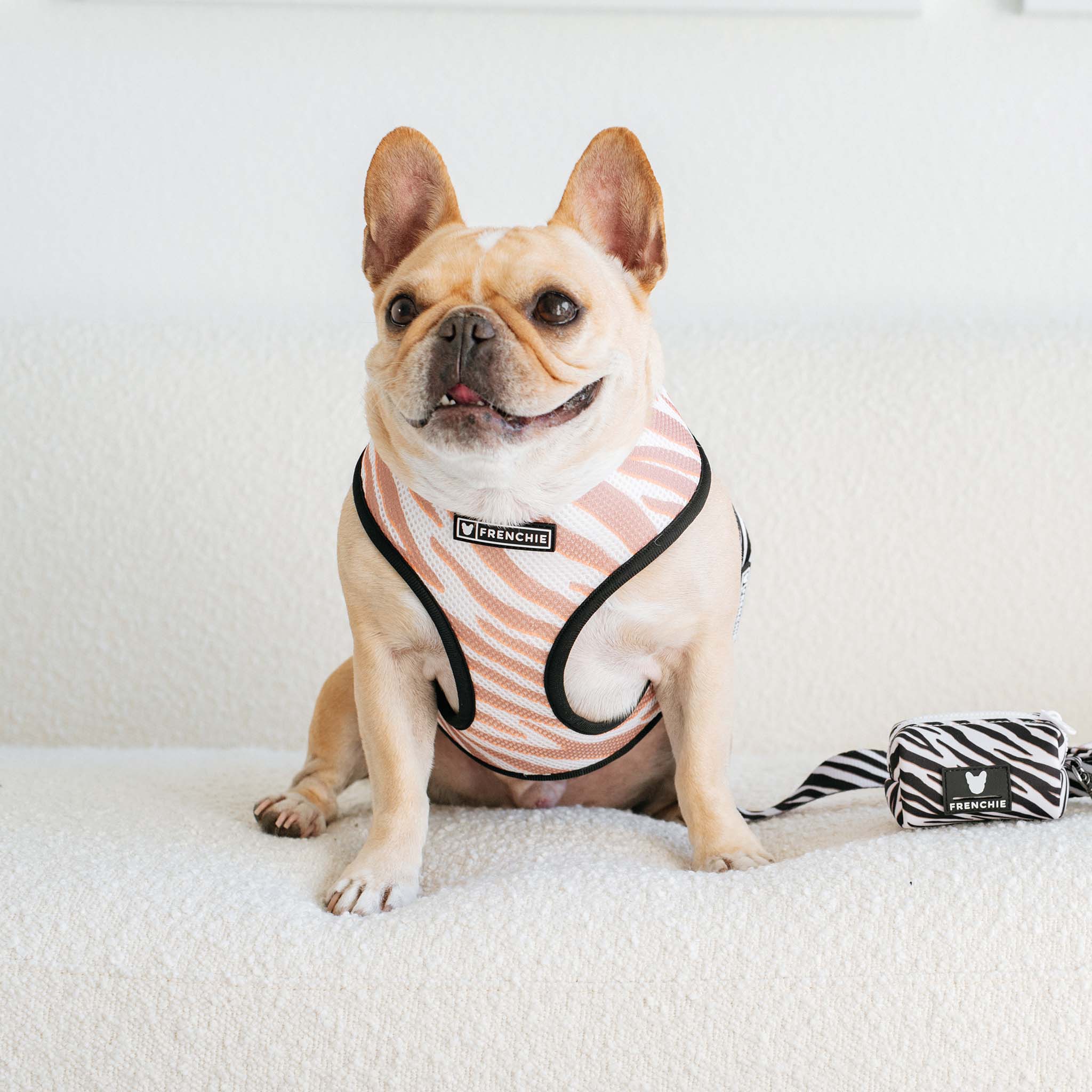 Frenchie Duo Reversible Harness - Zebra - Image 2