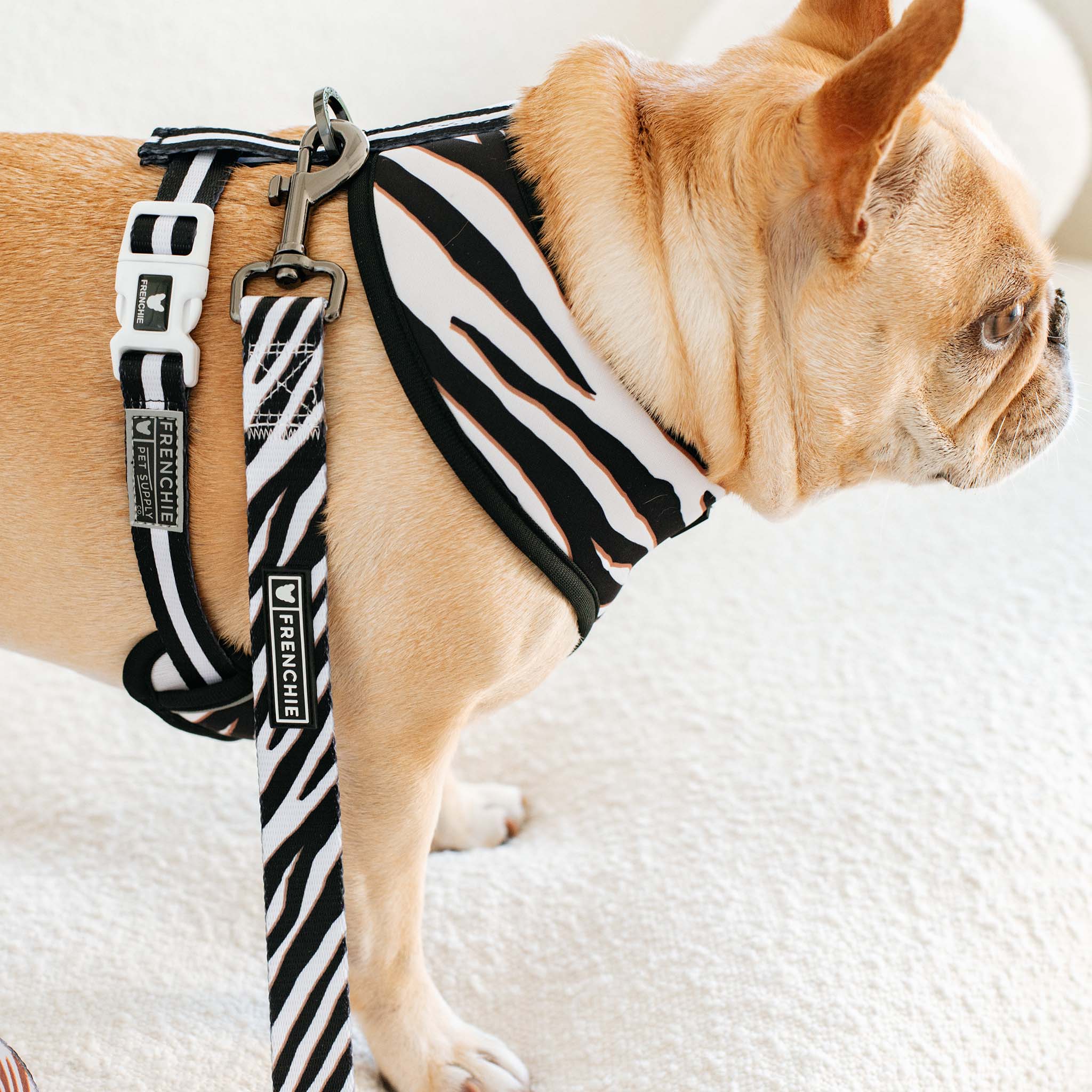 Frenchie Duo Reversible Harness - Zebra - Image 6