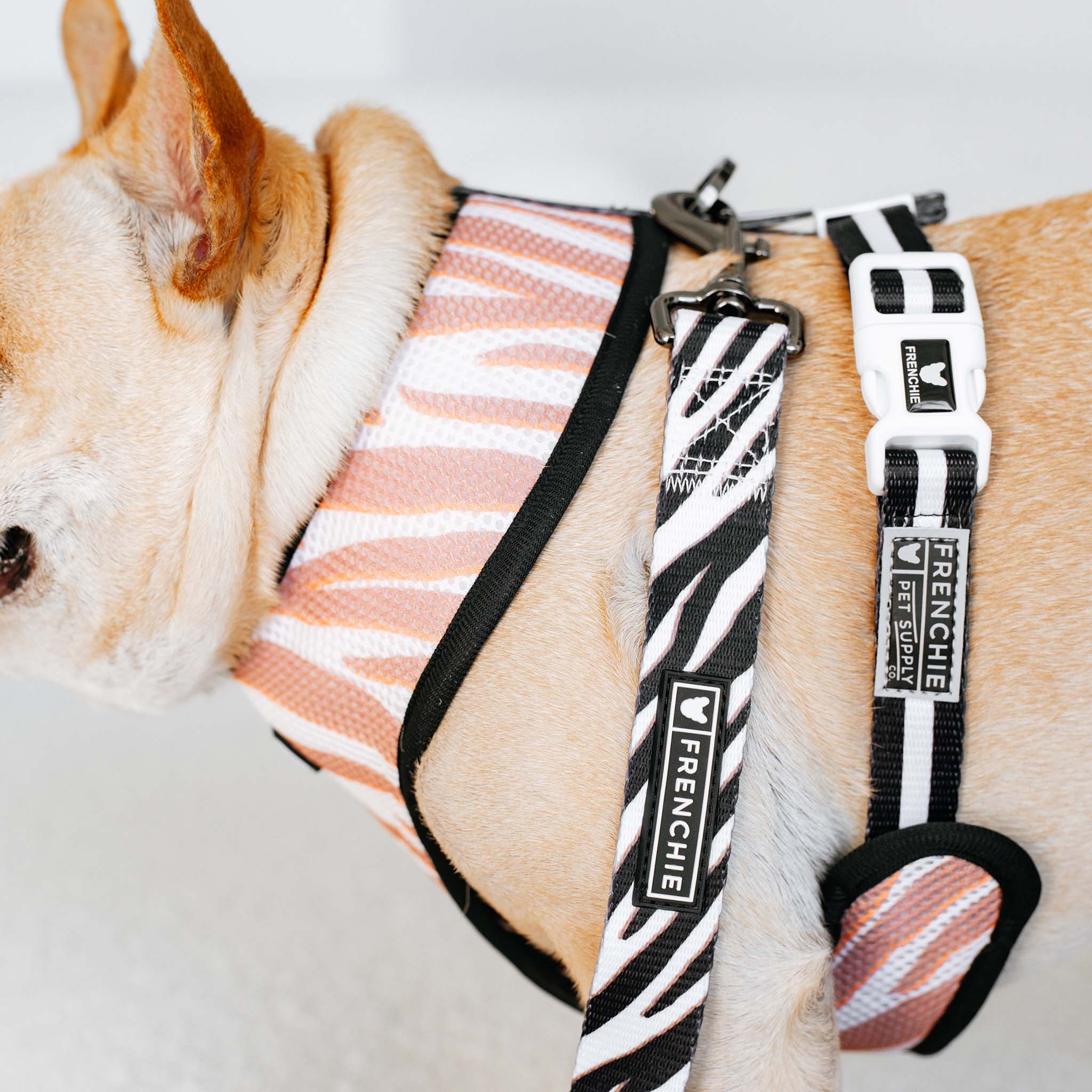Frenchie Duo Reversible Harness - Zebra - Image 7