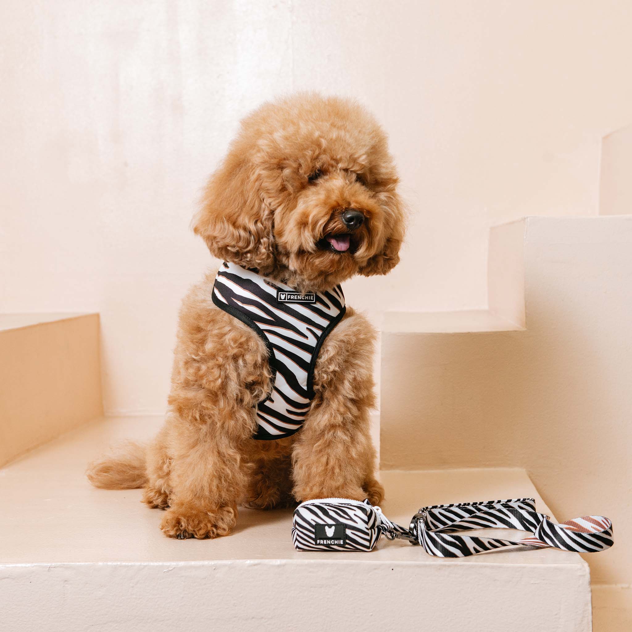 Frenchie Duo Reversible Harness - Zebra - Image 8