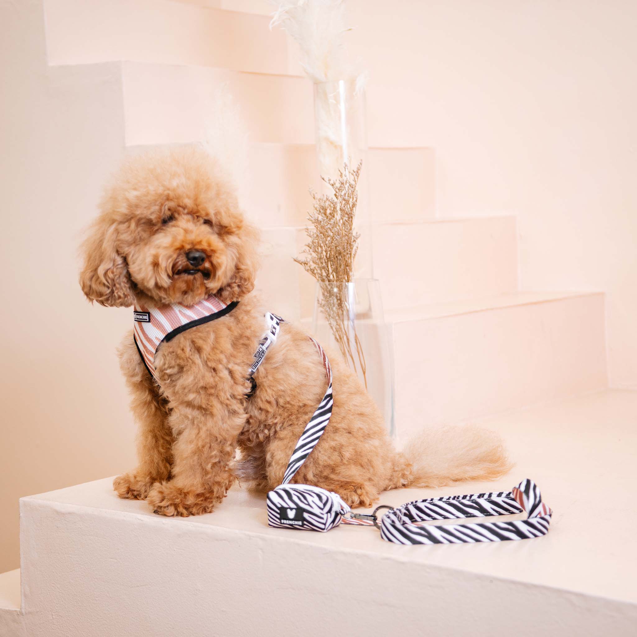 Frenchie Duo Reversible Harness - Zebra - Image 9