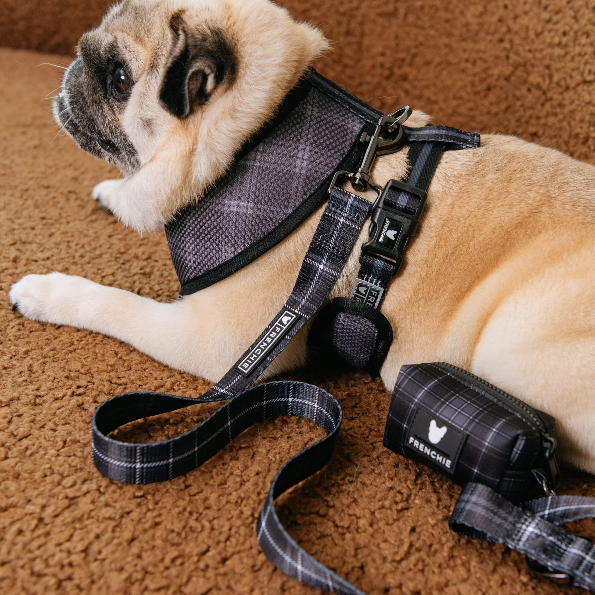 Frenchie Poo Bag Holder - Black Plaid - Image 3