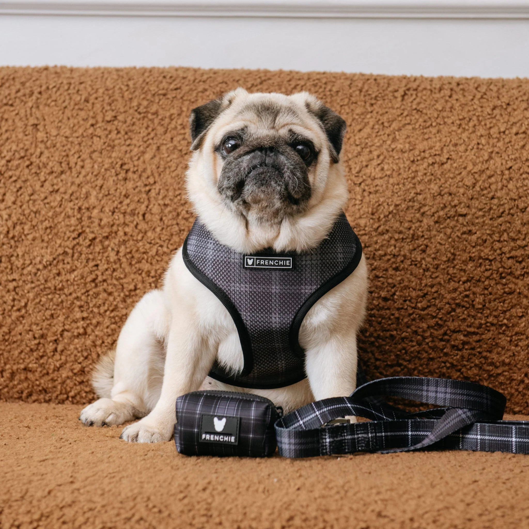 Frenchie Poo Bag Holder - Black Plaid - Image 5