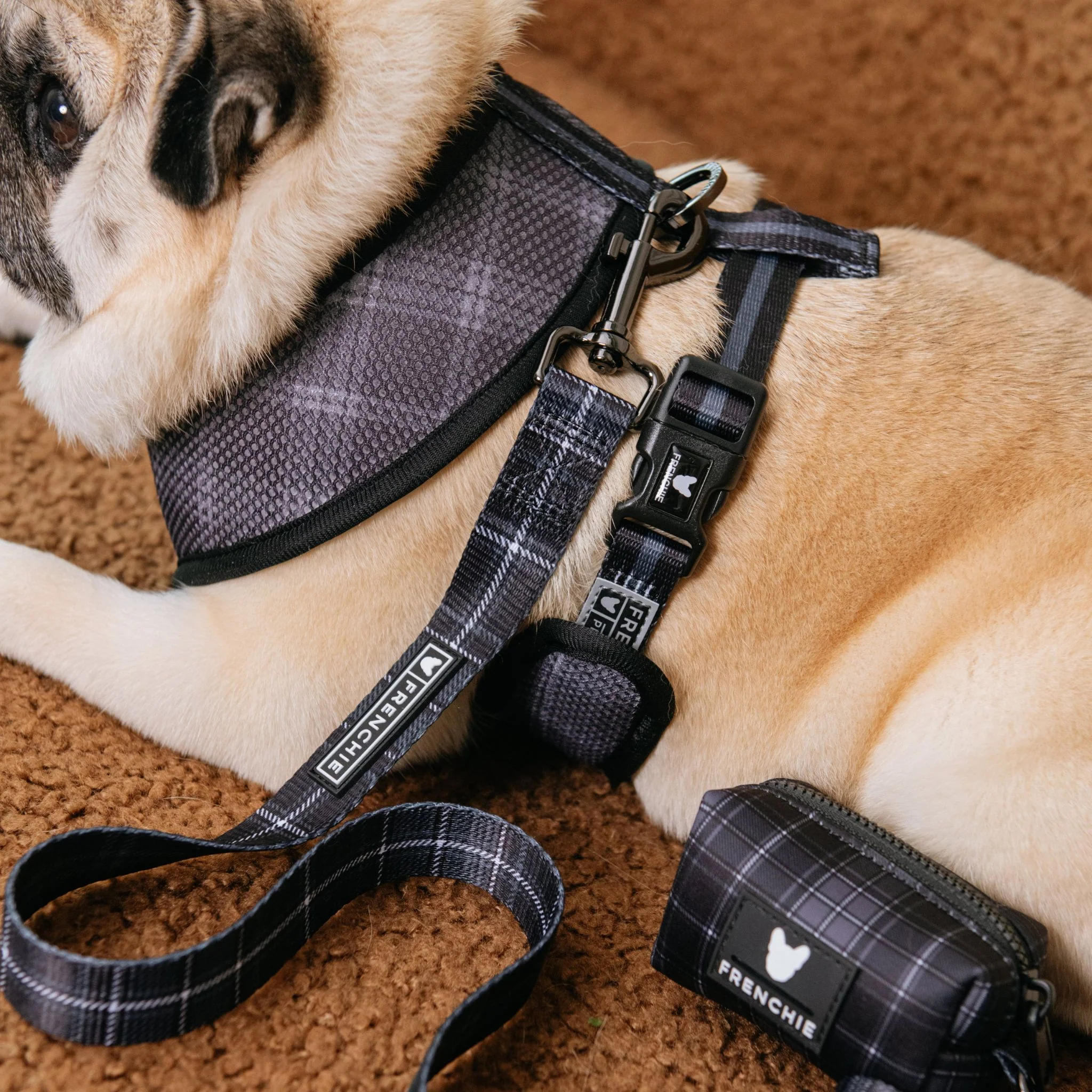 Frenchie Poo Bag Holder - Black Plaid - Image 6