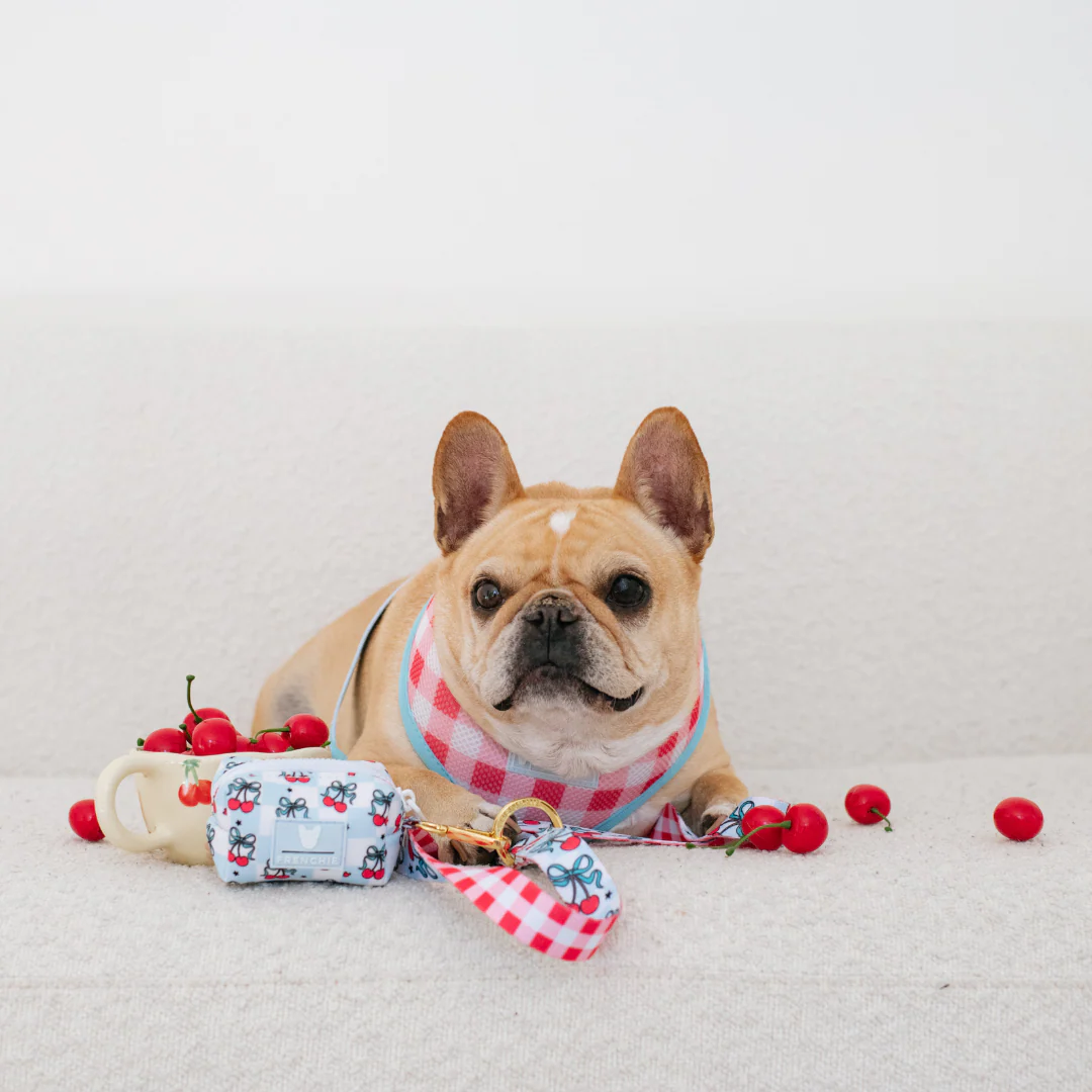 Frenchie Poo Bag Holder - Cherries Blue - Image 5