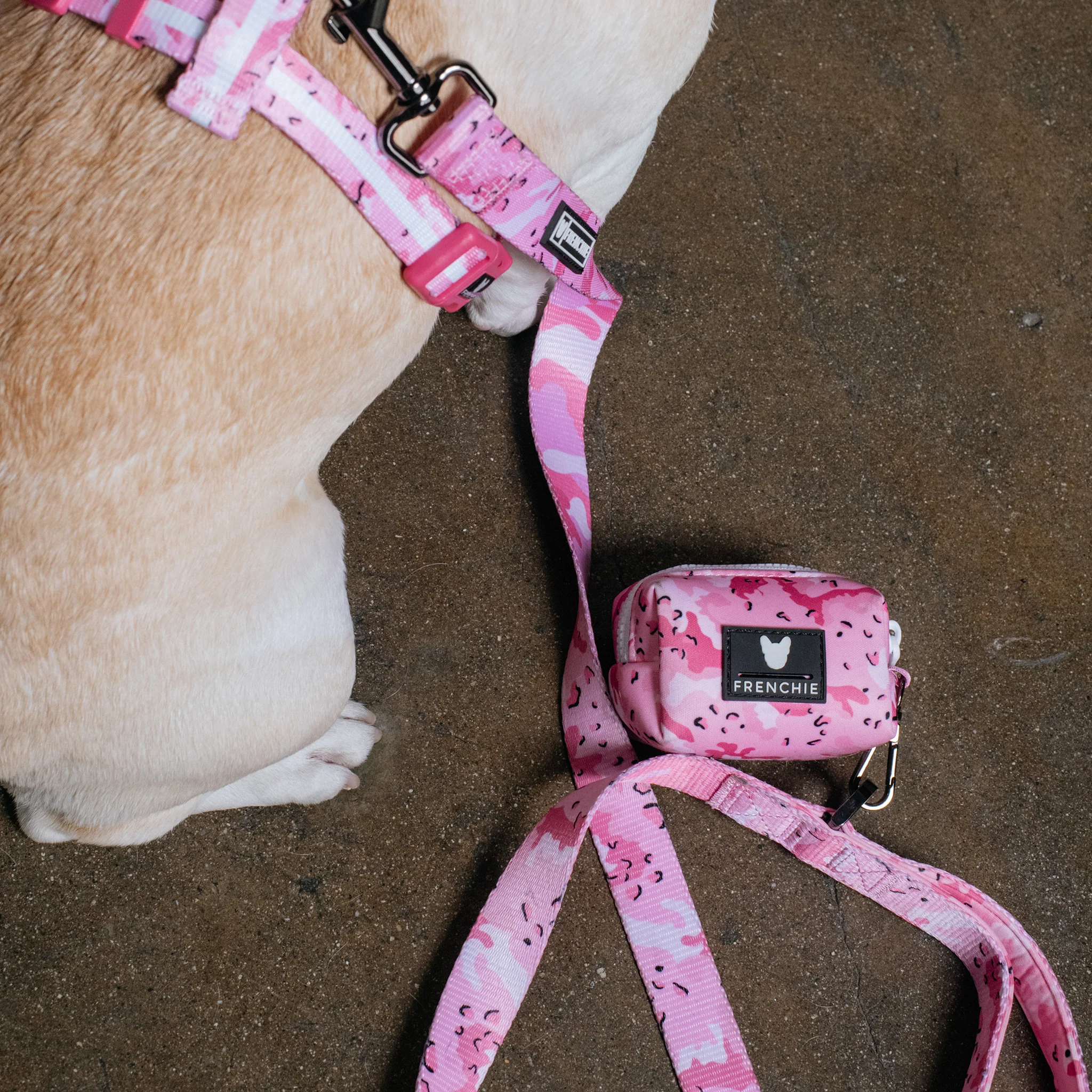 Frenchie Poo Bag Holder - Desert Camo (Pink) - Image 2