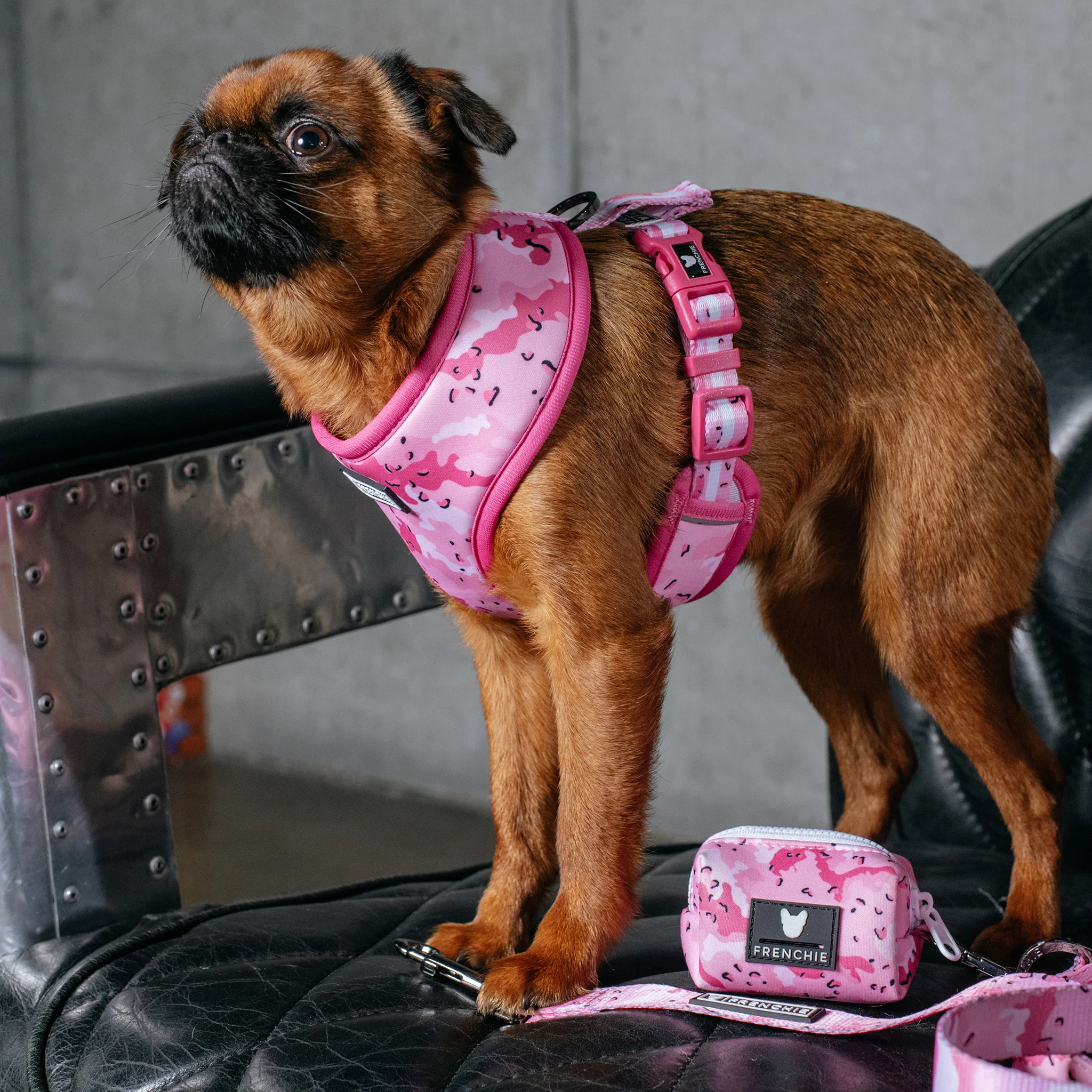 Frenchie Poo Bag Holder - Desert Camo (Pink) - Image 3