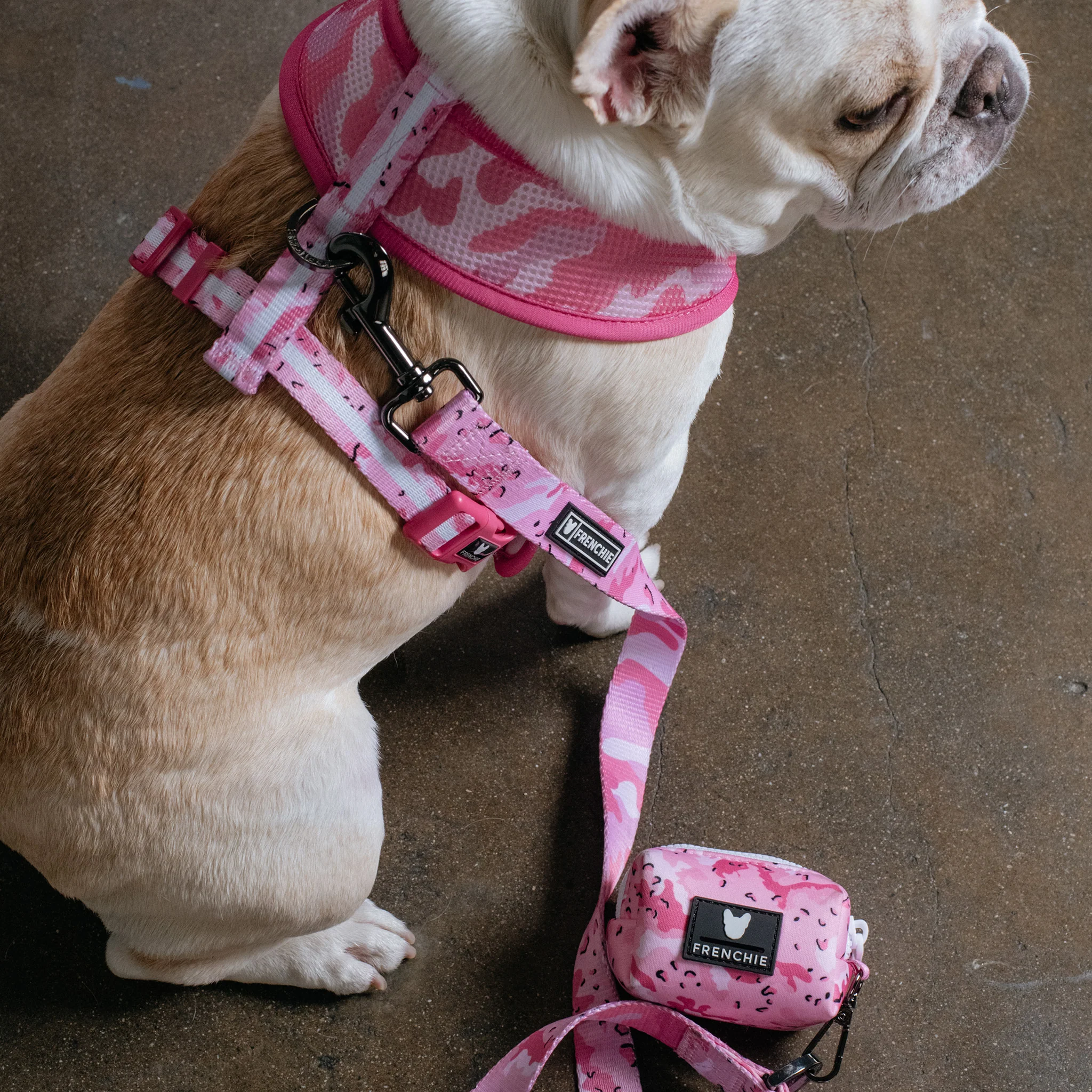 Frenchie Poo Bag Holder - Desert Camo (Pink) - Image 4
