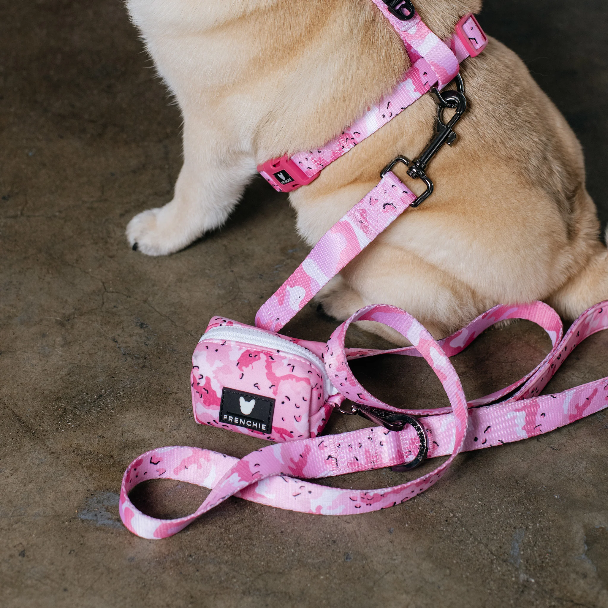 Frenchie Poo Bag Holder - Desert Camo (Pink) - Image 5