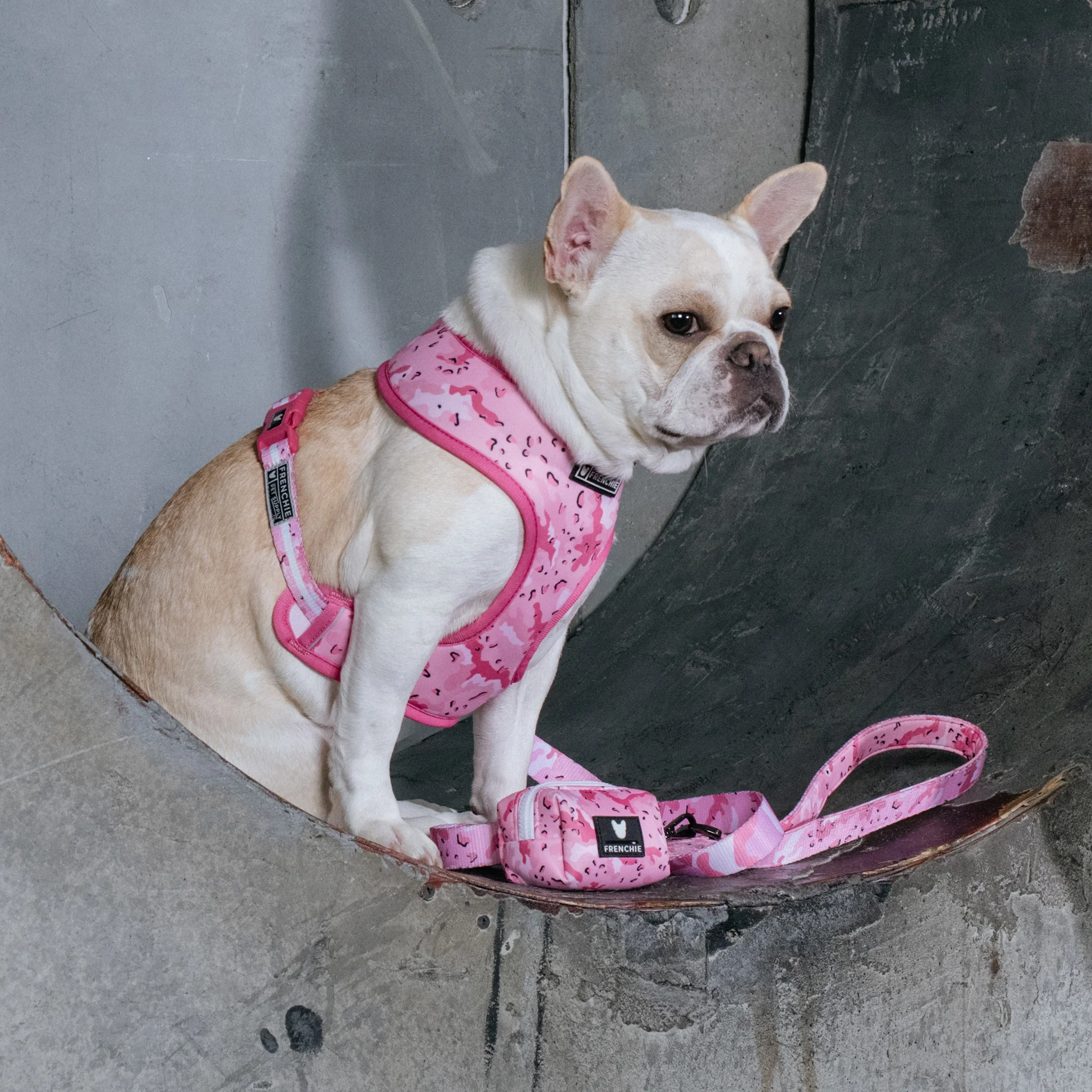Frenchie Poo Bag Holder - Desert Camo (Pink) - Image 7