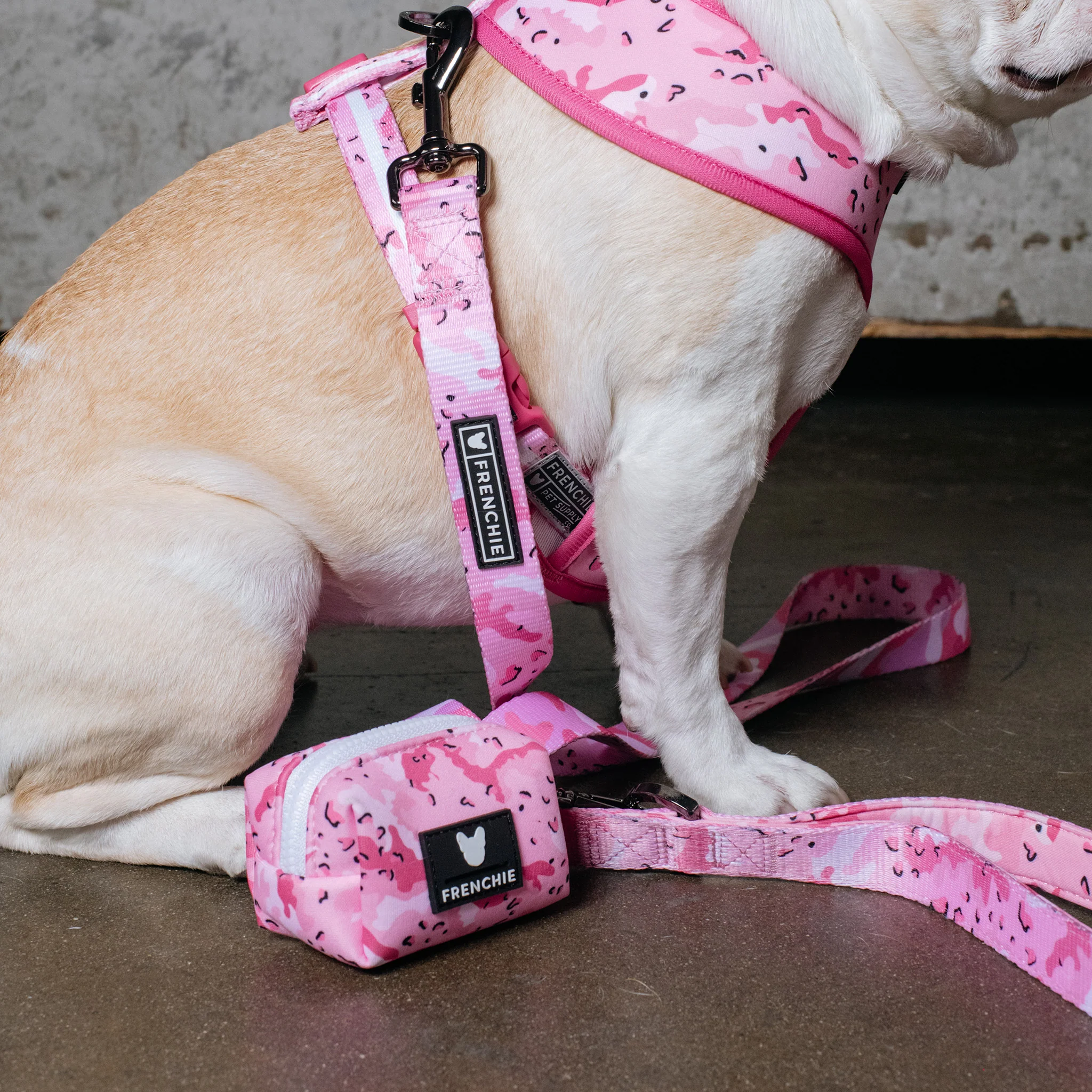 Frenchie Poo Bag Holder - Desert Camo (Pink) - Image 8