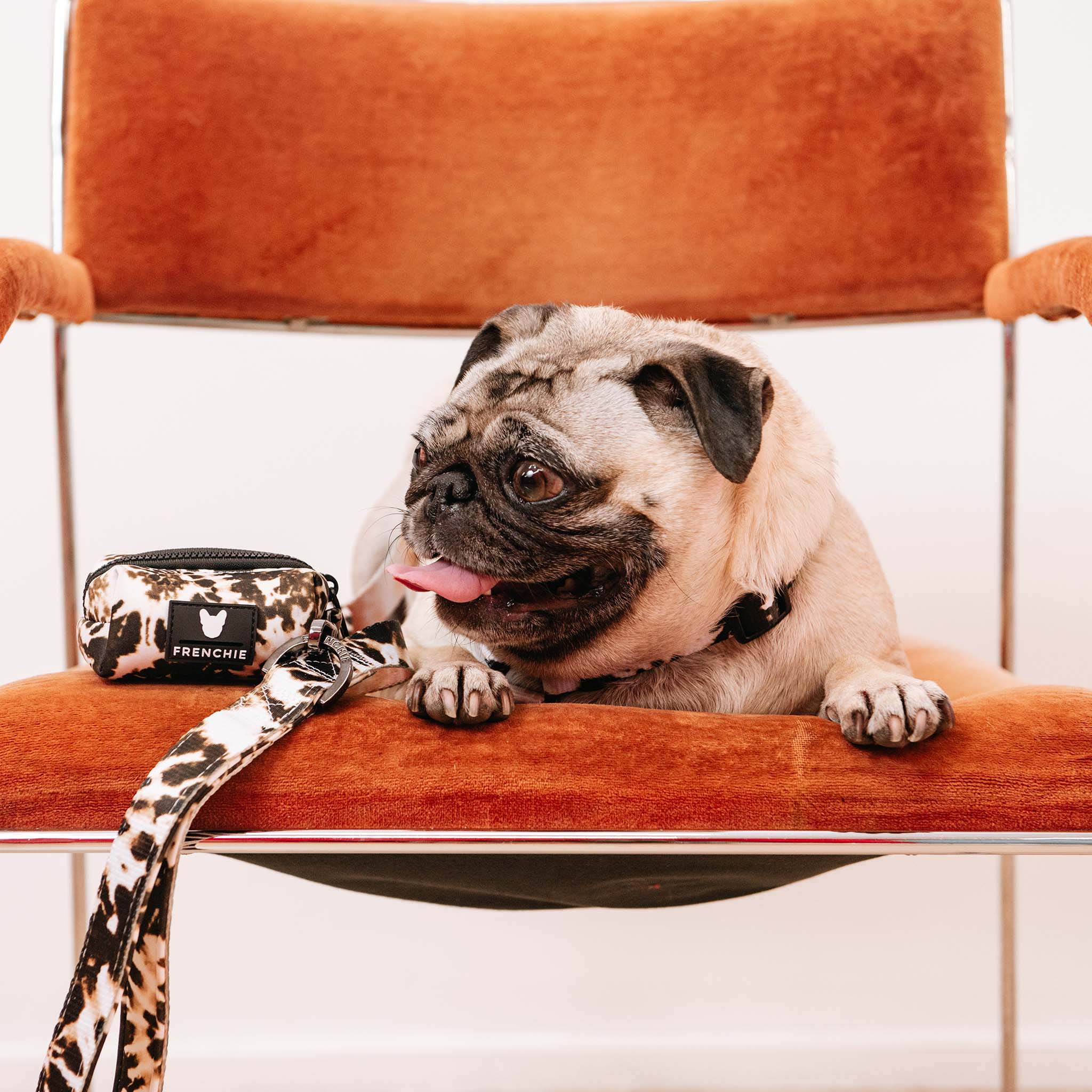 Frenchie Poo Bag Holder - Earthy Tie Dye - Image 6