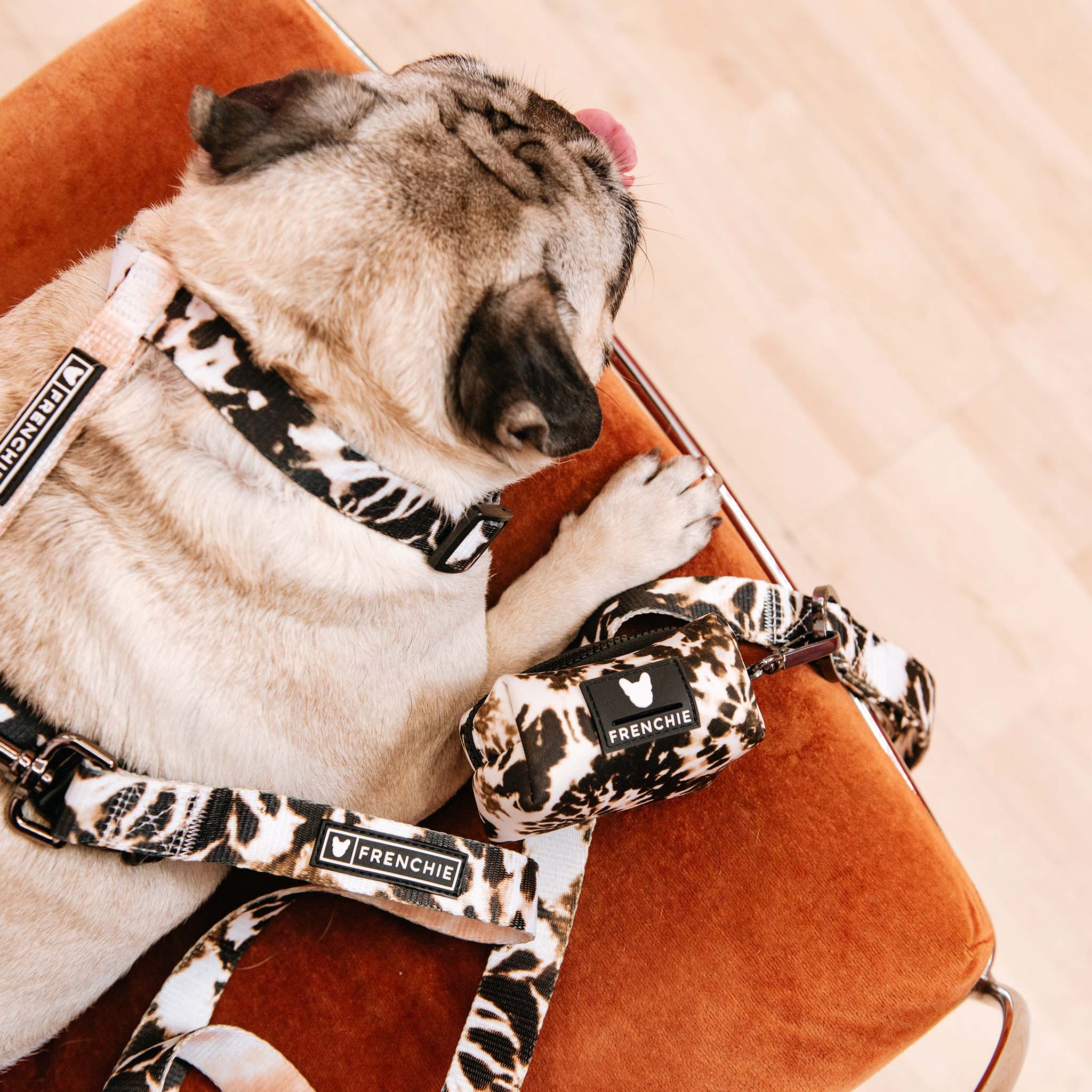 Frenchie Poo Bag Holder - Earthy Tie Dye - Image 7