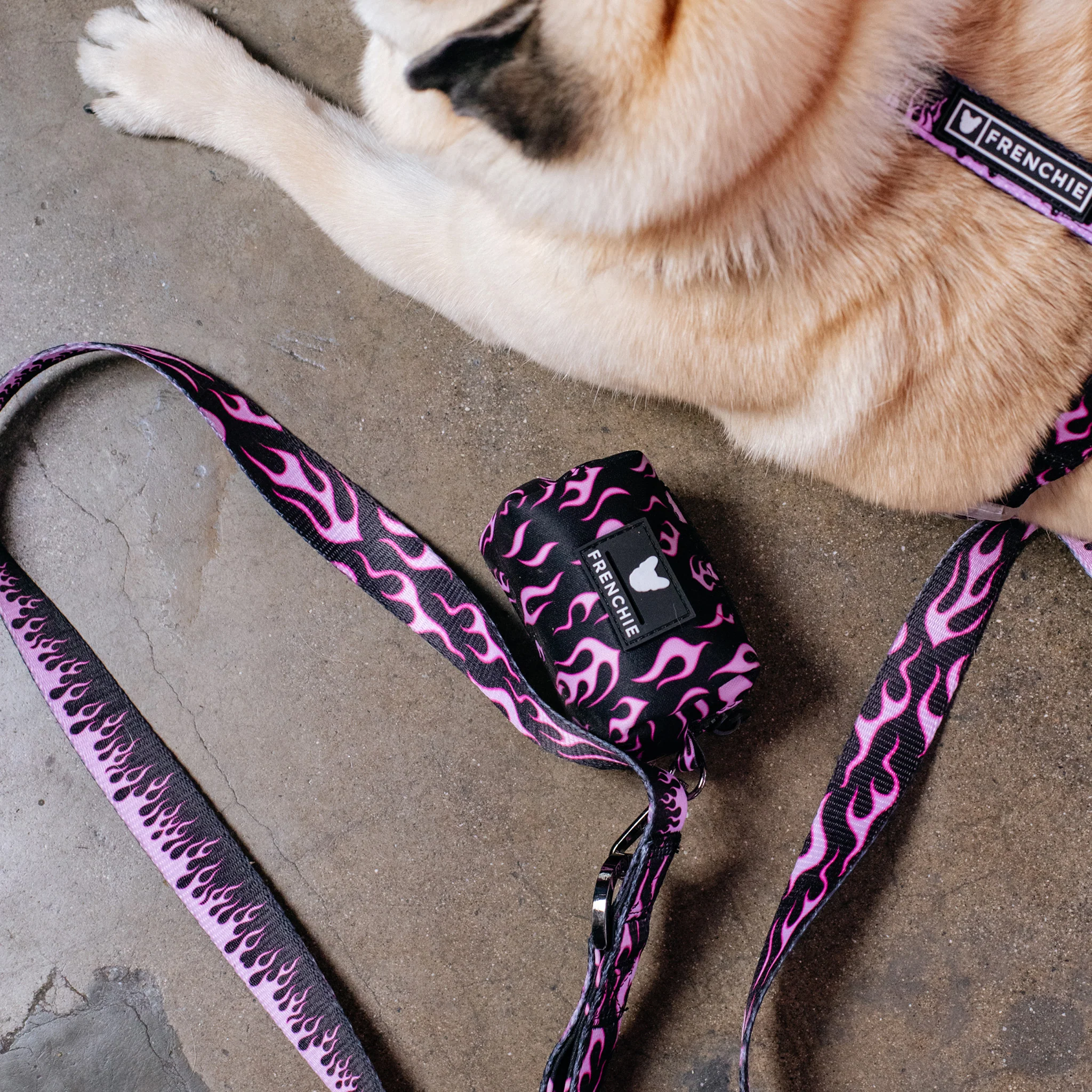 Frenchie Poo Bag Holder - Flames (Pink) - Image 2