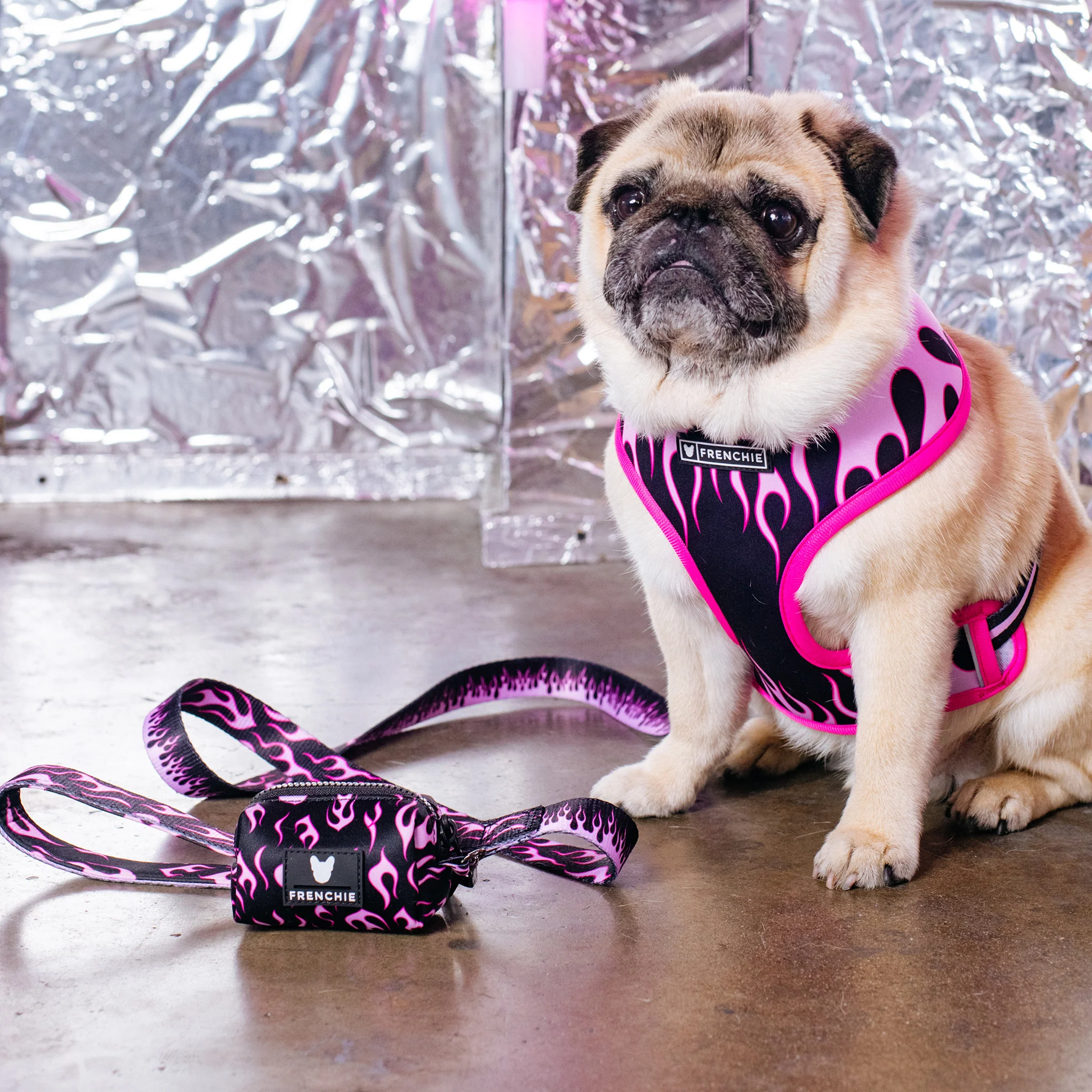 Frenchie Poo Bag Holder - Flames (Pink) - Image 3