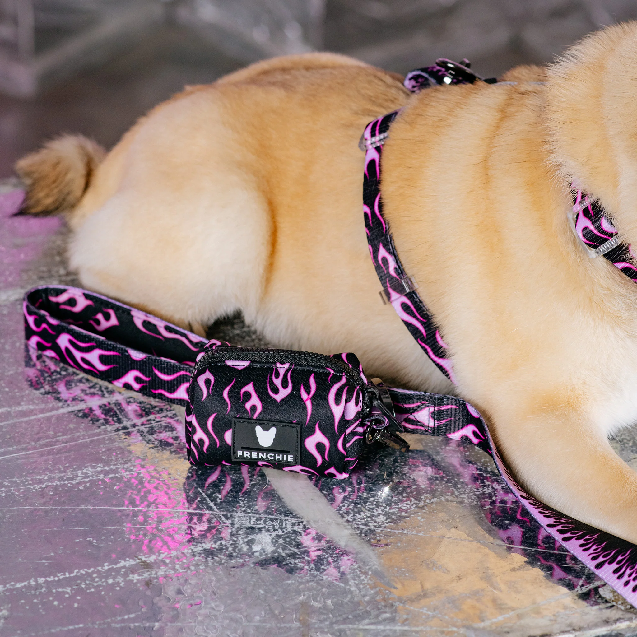 Frenchie Poo Bag Holder - Flames (Pink) - Image 4