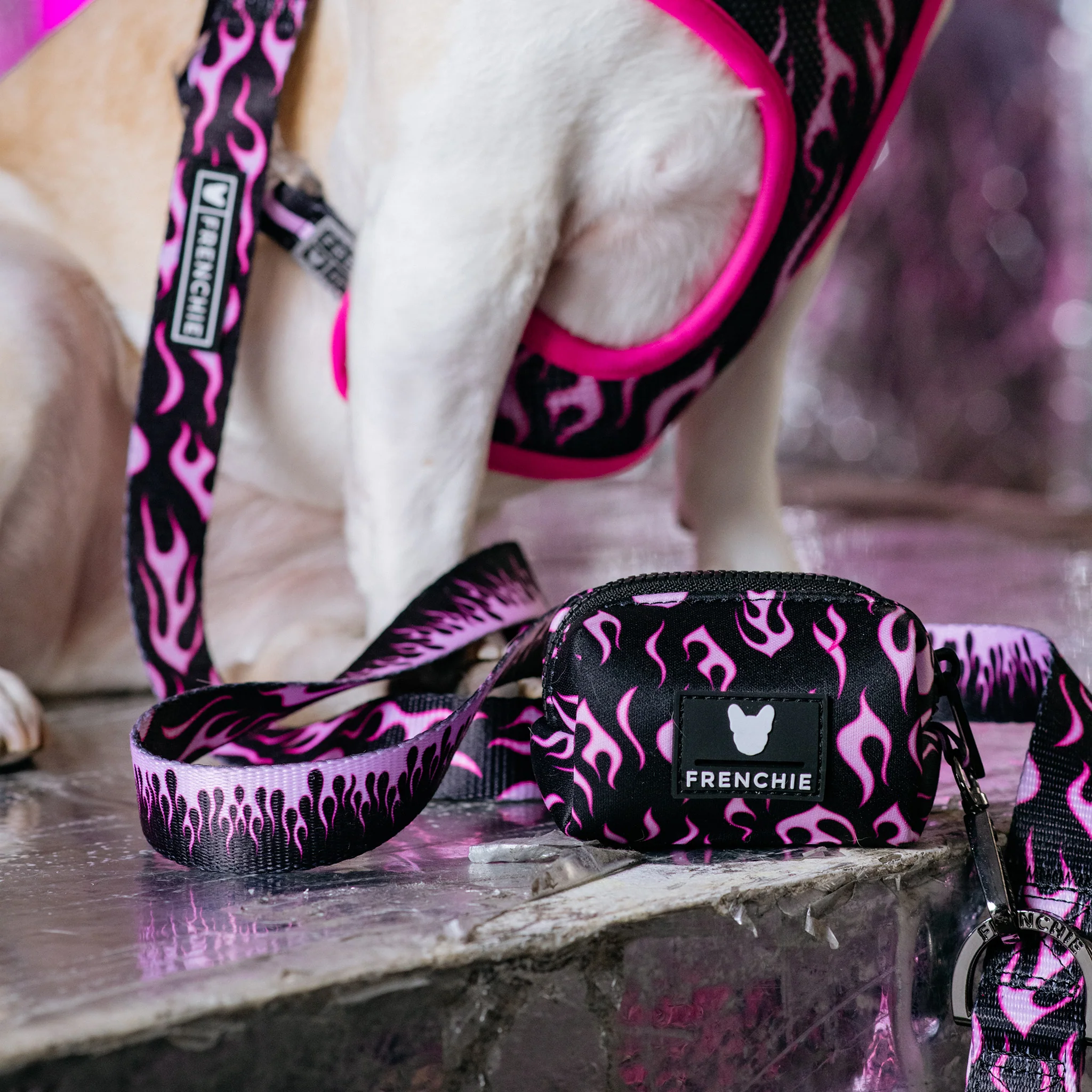 Frenchie Poo Bag Holder - Flames (Pink) - Image 5