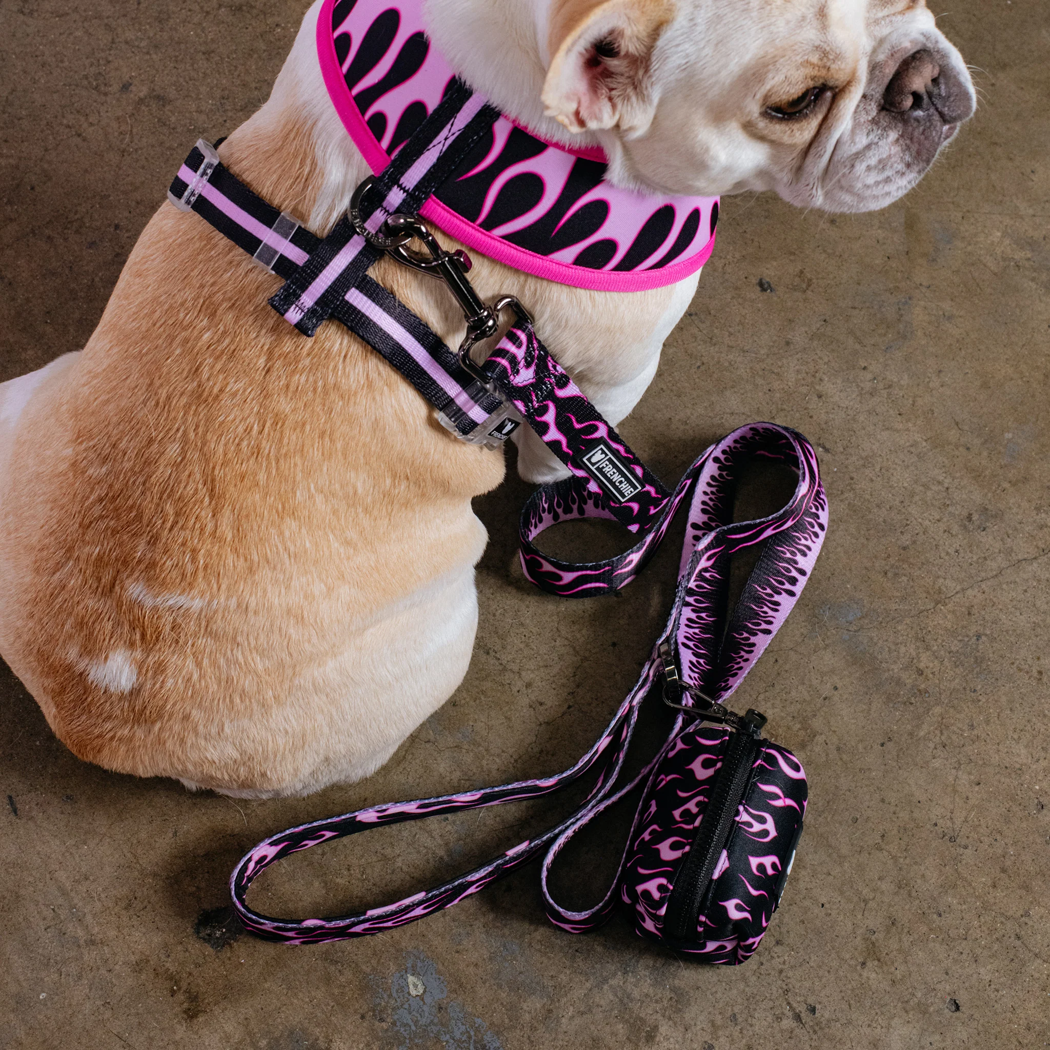Frenchie Poo Bag Holder - Flames (Pink) - Image 6
