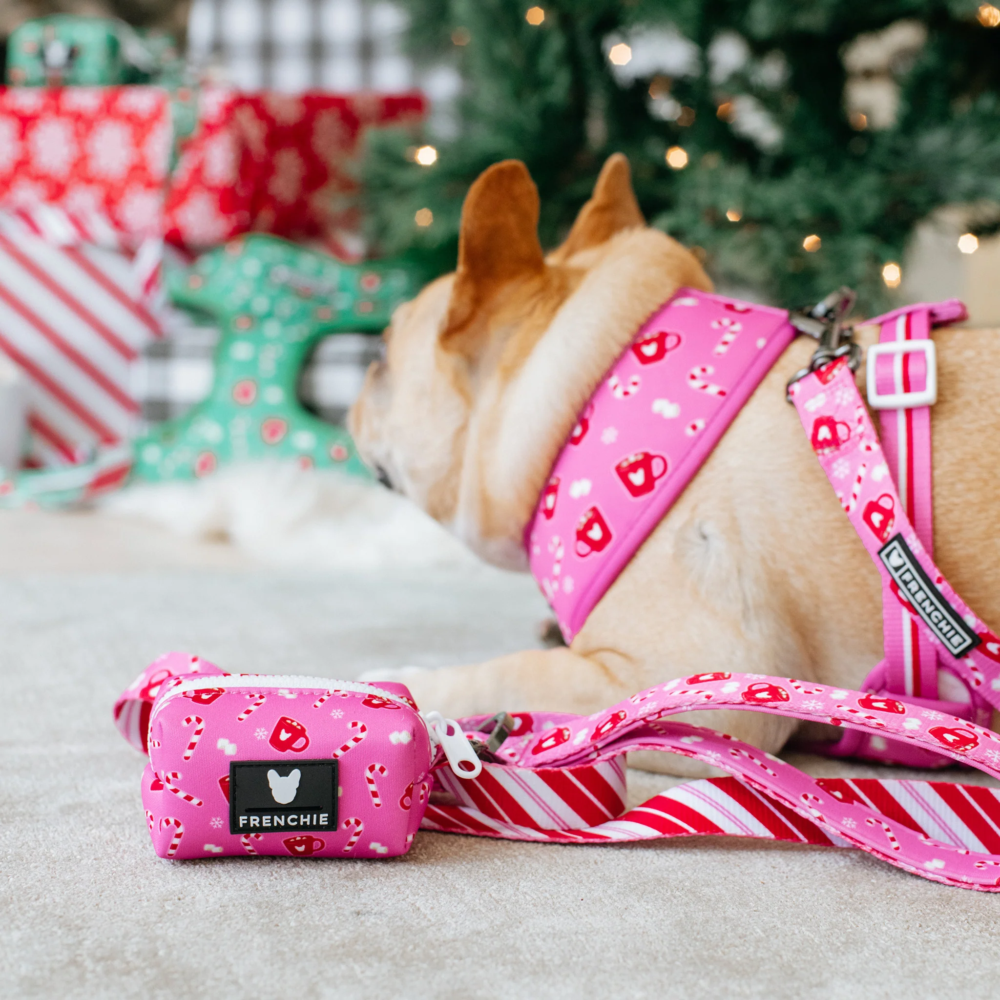 Frenchie Poo Bag Holder - Hot Cocoa (Pink) - Image 2
