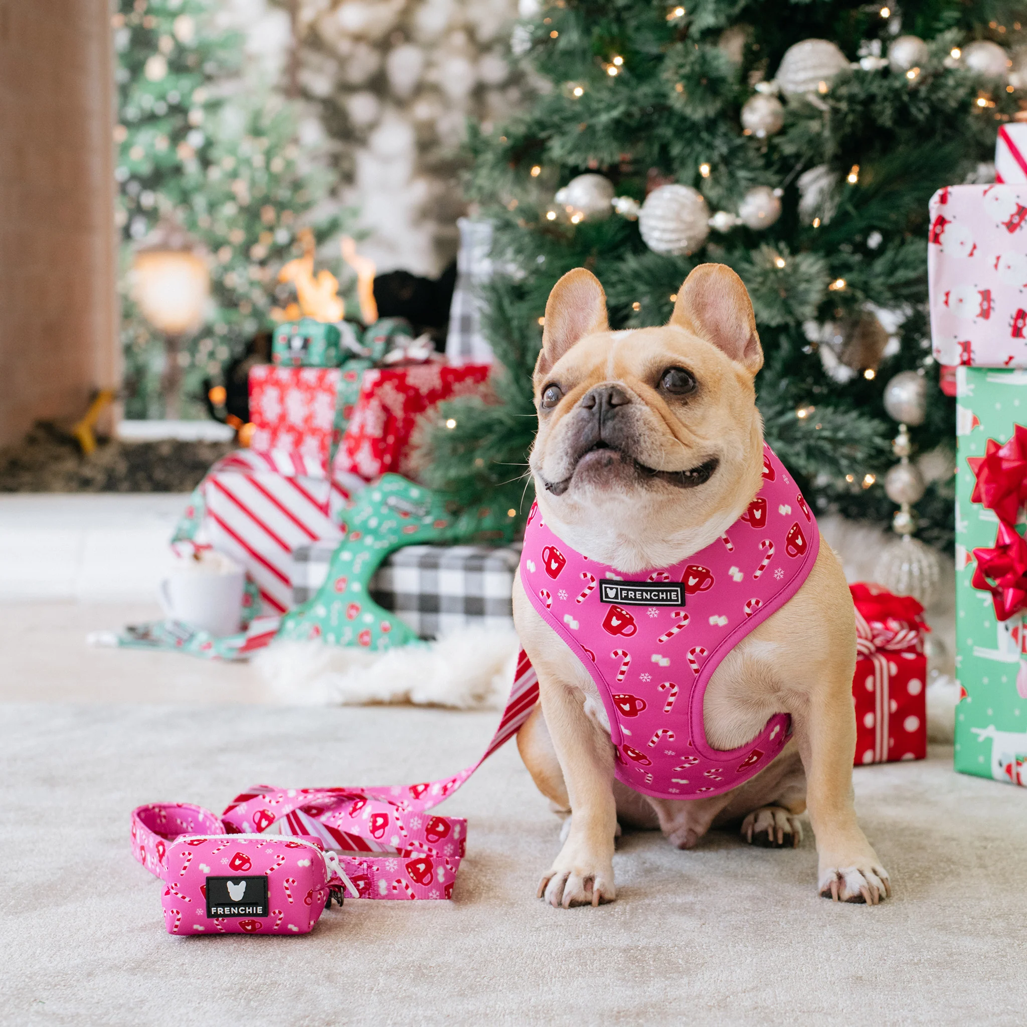 Frenchie Poo Bag Holder - Hot Cocoa (Pink) - Image 3