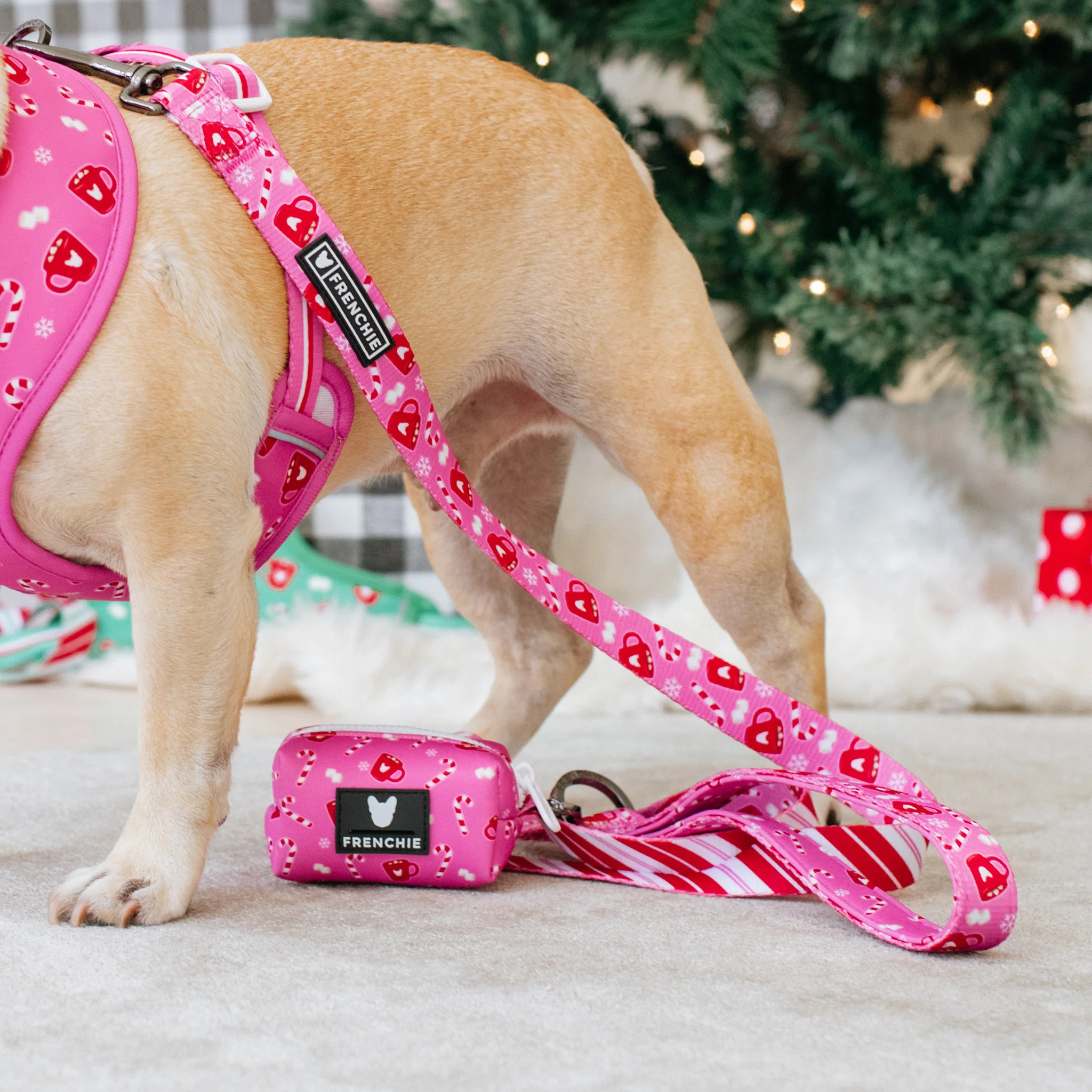 Frenchie Poo Bag Holder - Hot Cocoa (Pink) - Image 4