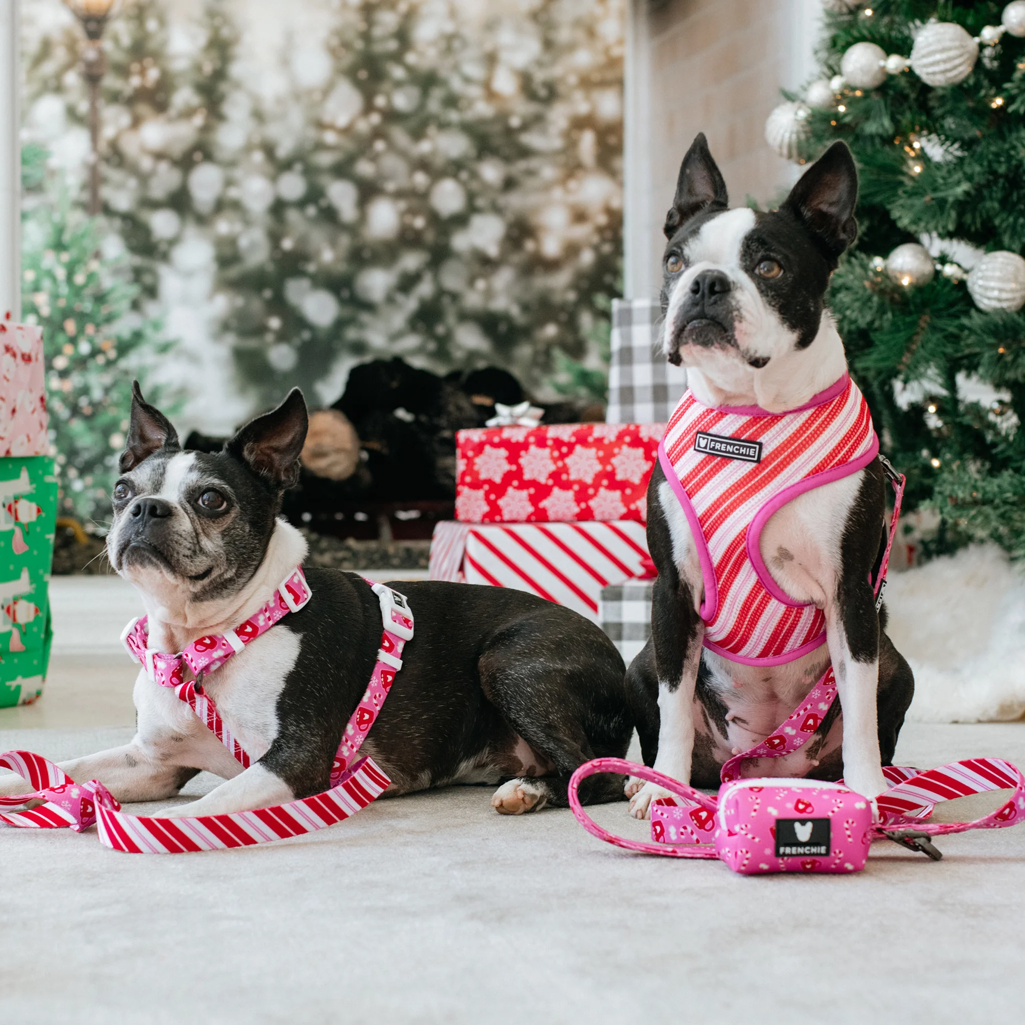 Frenchie Poo Bag Holder - Hot Cocoa (Pink) - Image 7