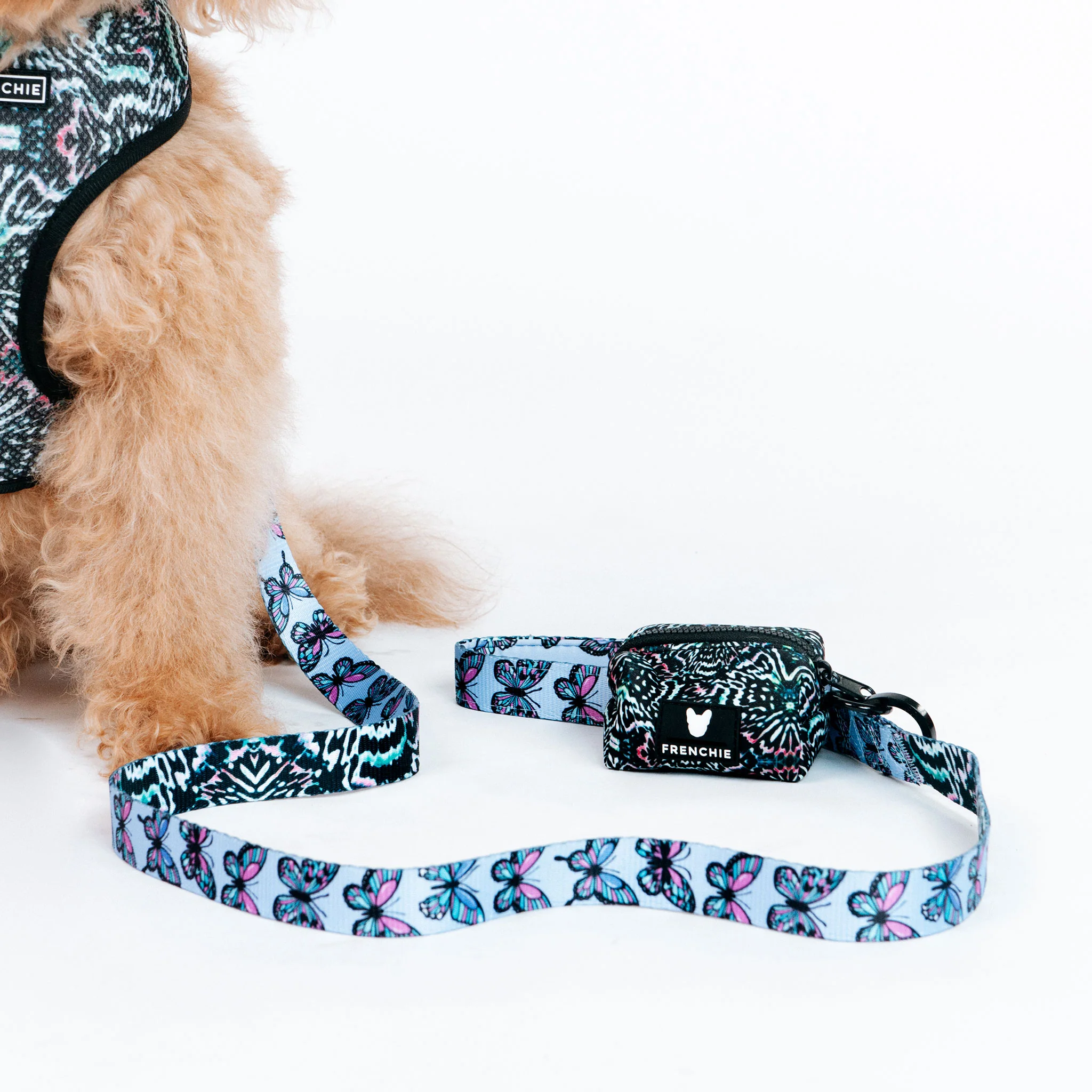 Frenchie Poo Bag Holder - Kaleidoscope - Image 2