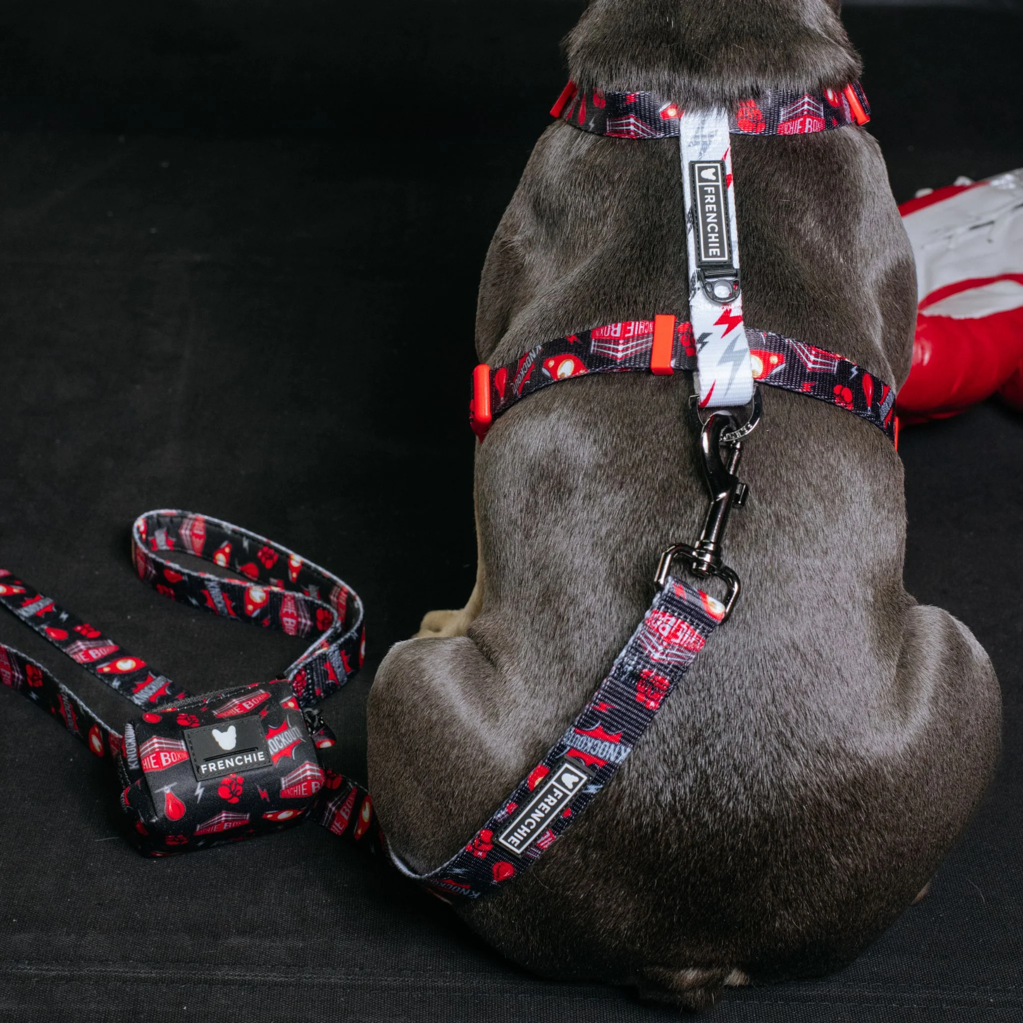Frenchie Poo Bag Holder - Knockout - Image 4