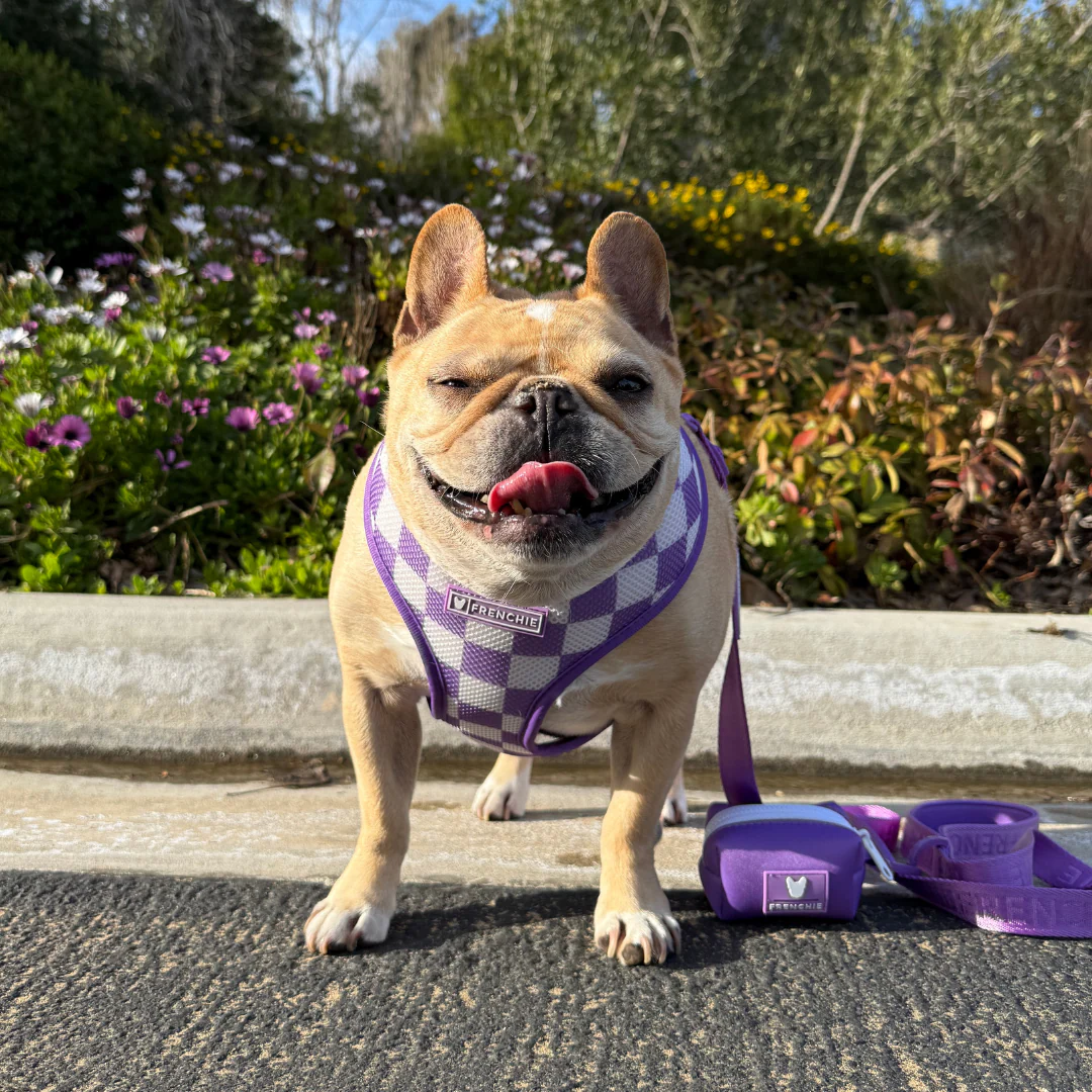 Frenchie Poo Bag Holder - Solid Purple - Image 3