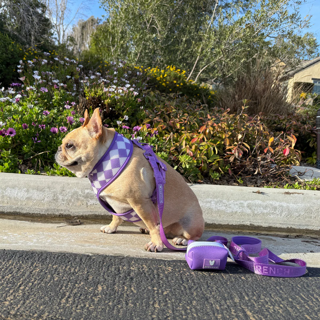 Frenchie Poo Bag Holder - Solid Purple - Image 4
