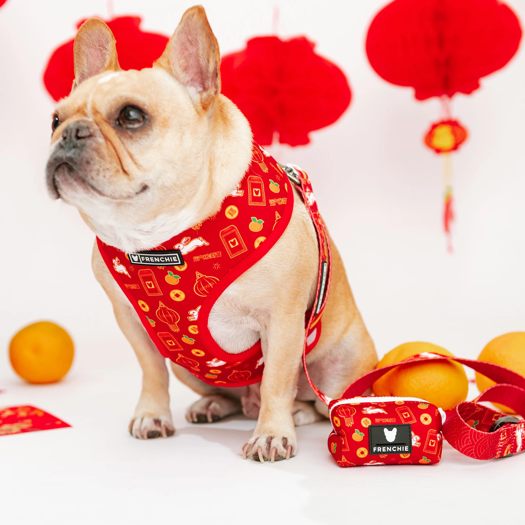 Frenchie Poo Bag Holder - Year of the Rabbit - Image 3