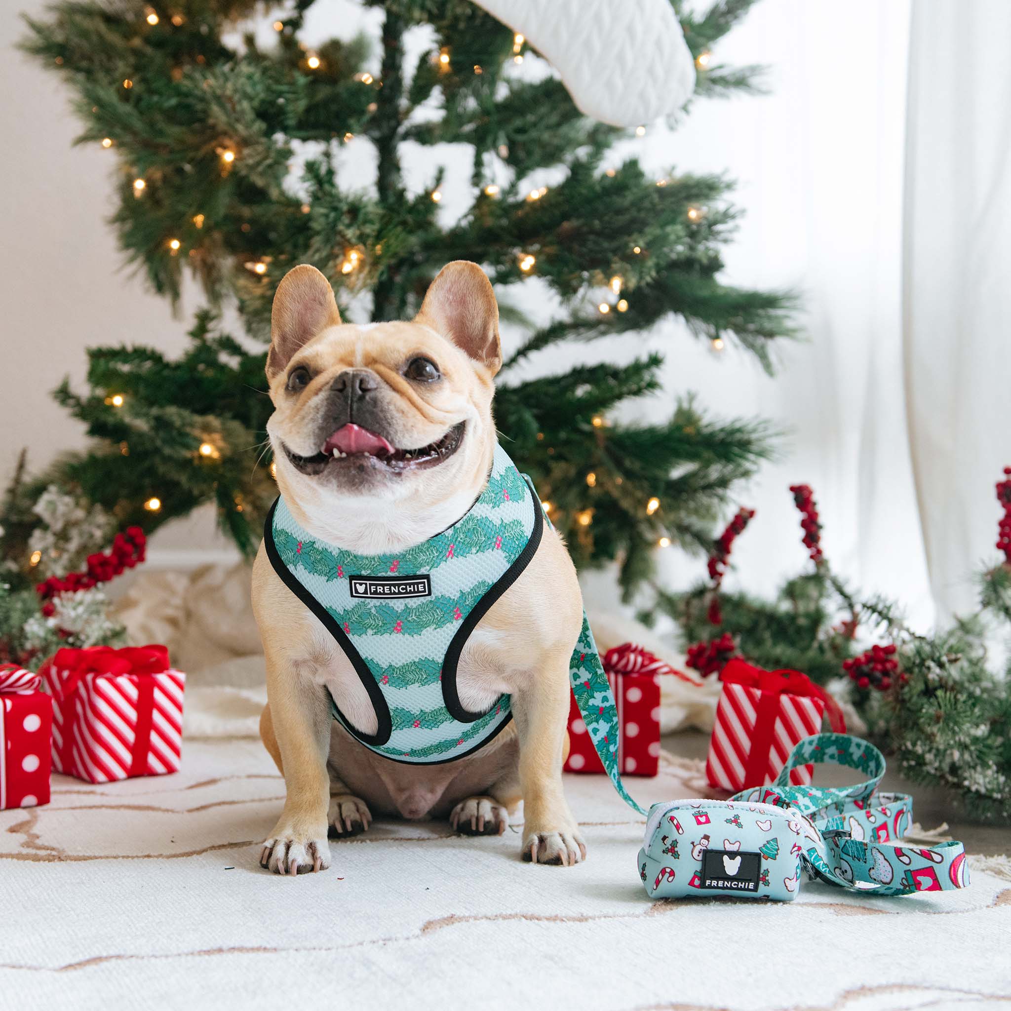 Frenchie Poo Bag Holder - Mistletoe - Image 6