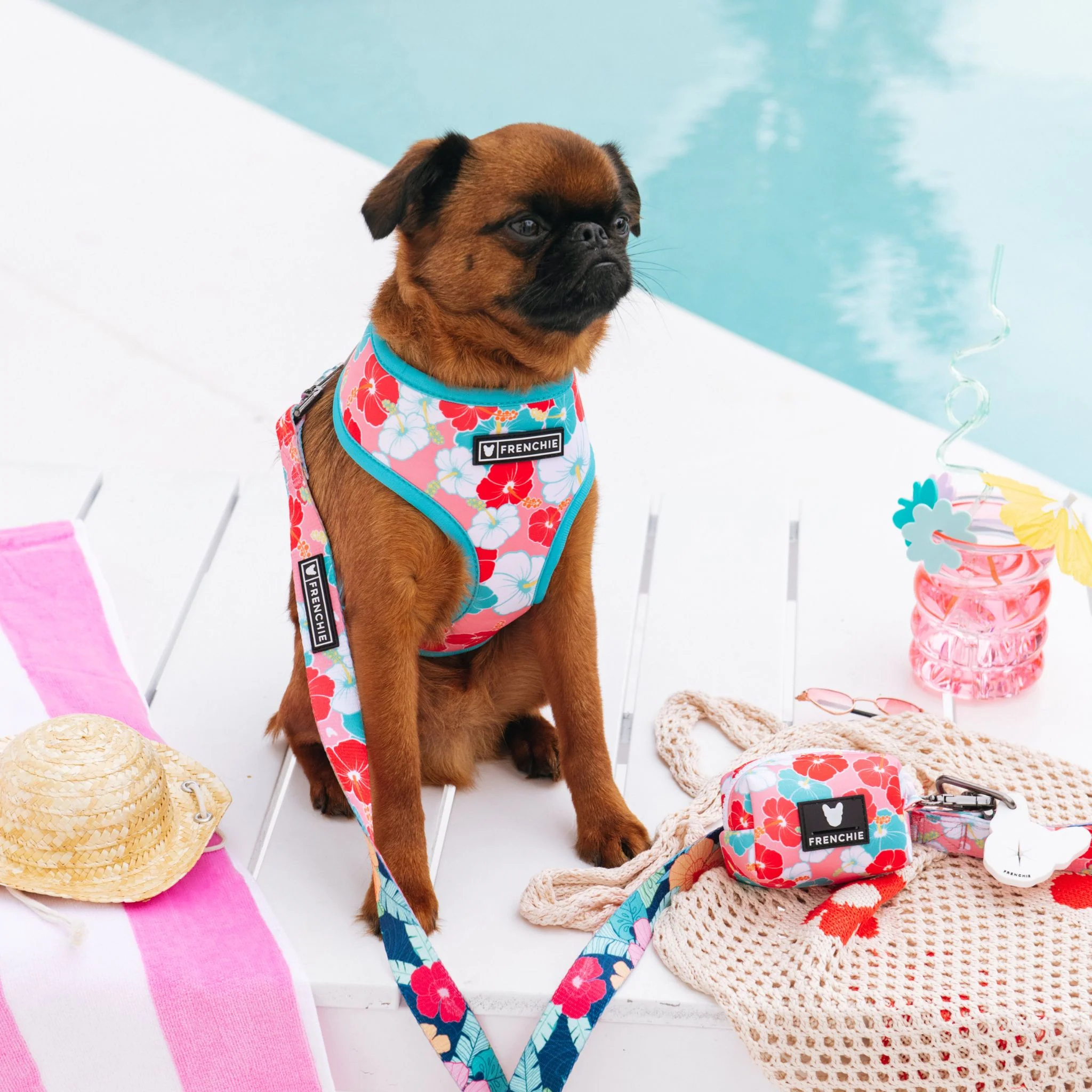 Frenchie Poo Bag Holder - Paradise - Image 3