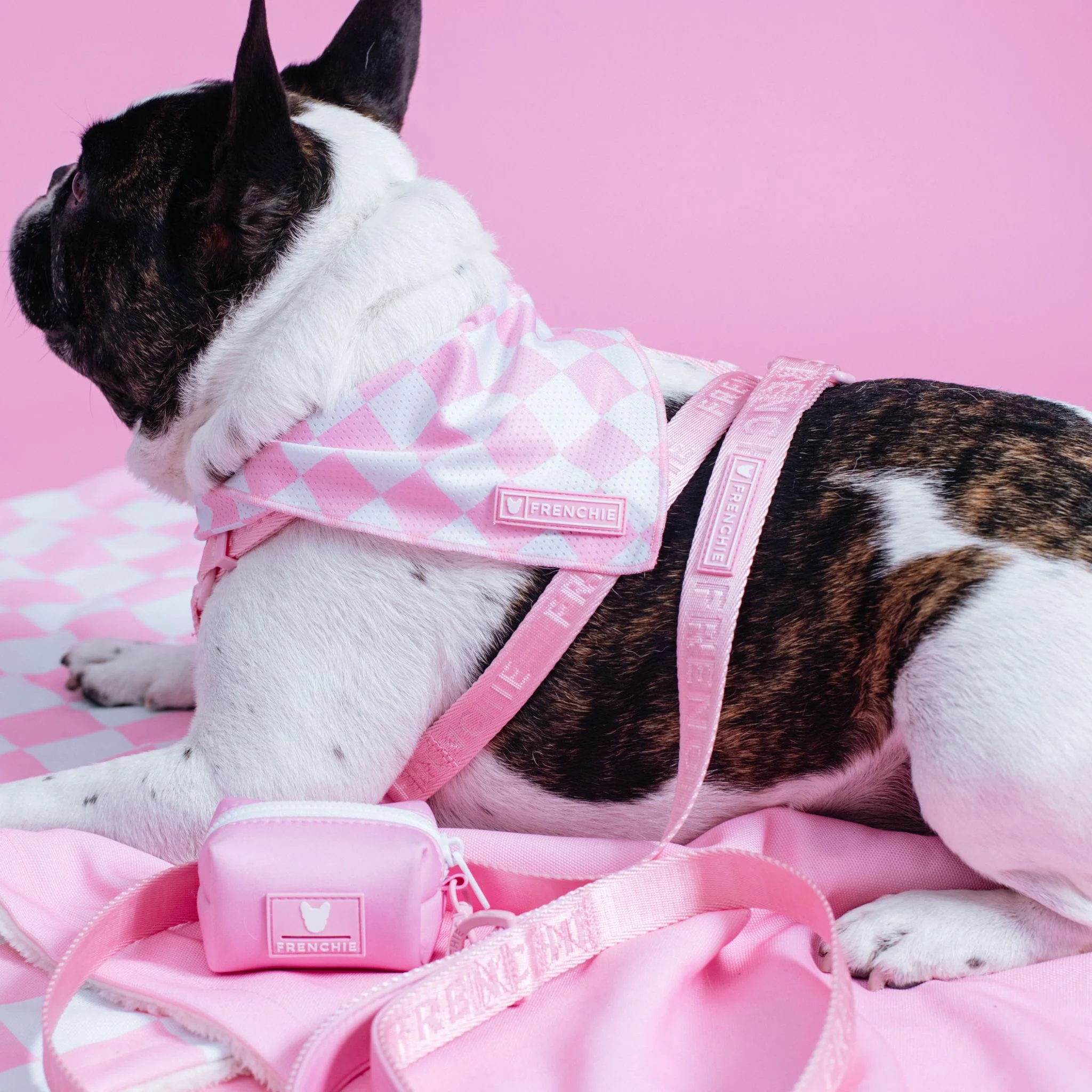 Frenchie Poo Bag Holder - Solid Pink Bubblegum - Image 3