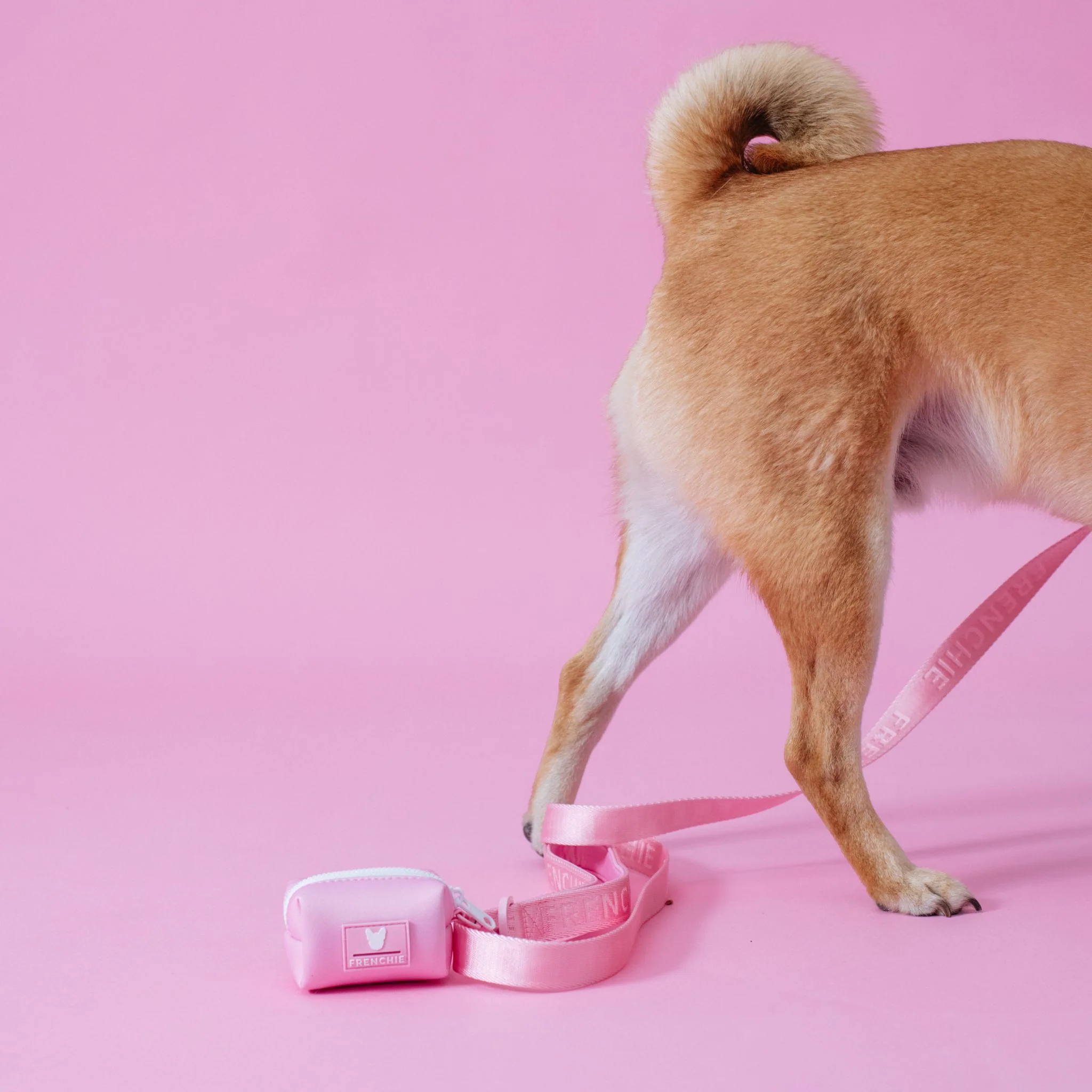 Frenchie Poo Bag Holder - Solid Pink Bubblegum - Image 5