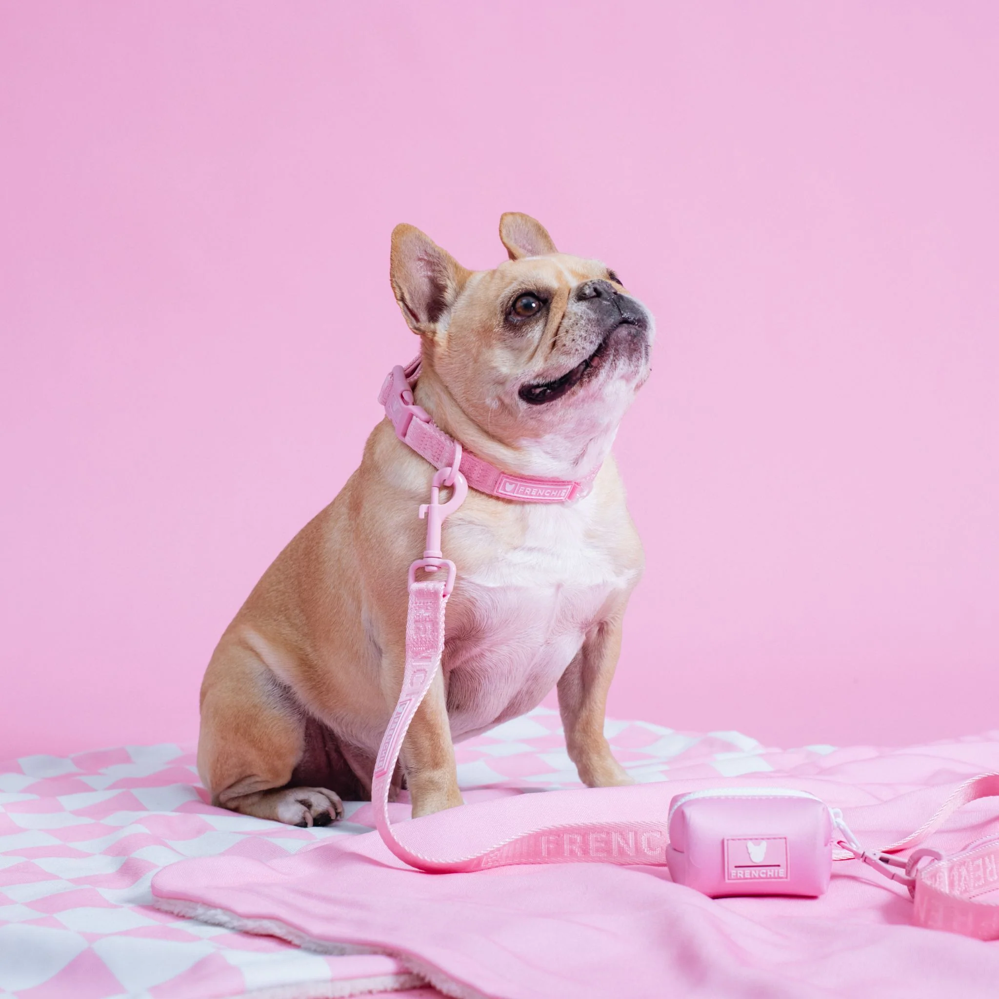 Frenchie Poo Bag Holder - Solid Pink Bubblegum - Image 6