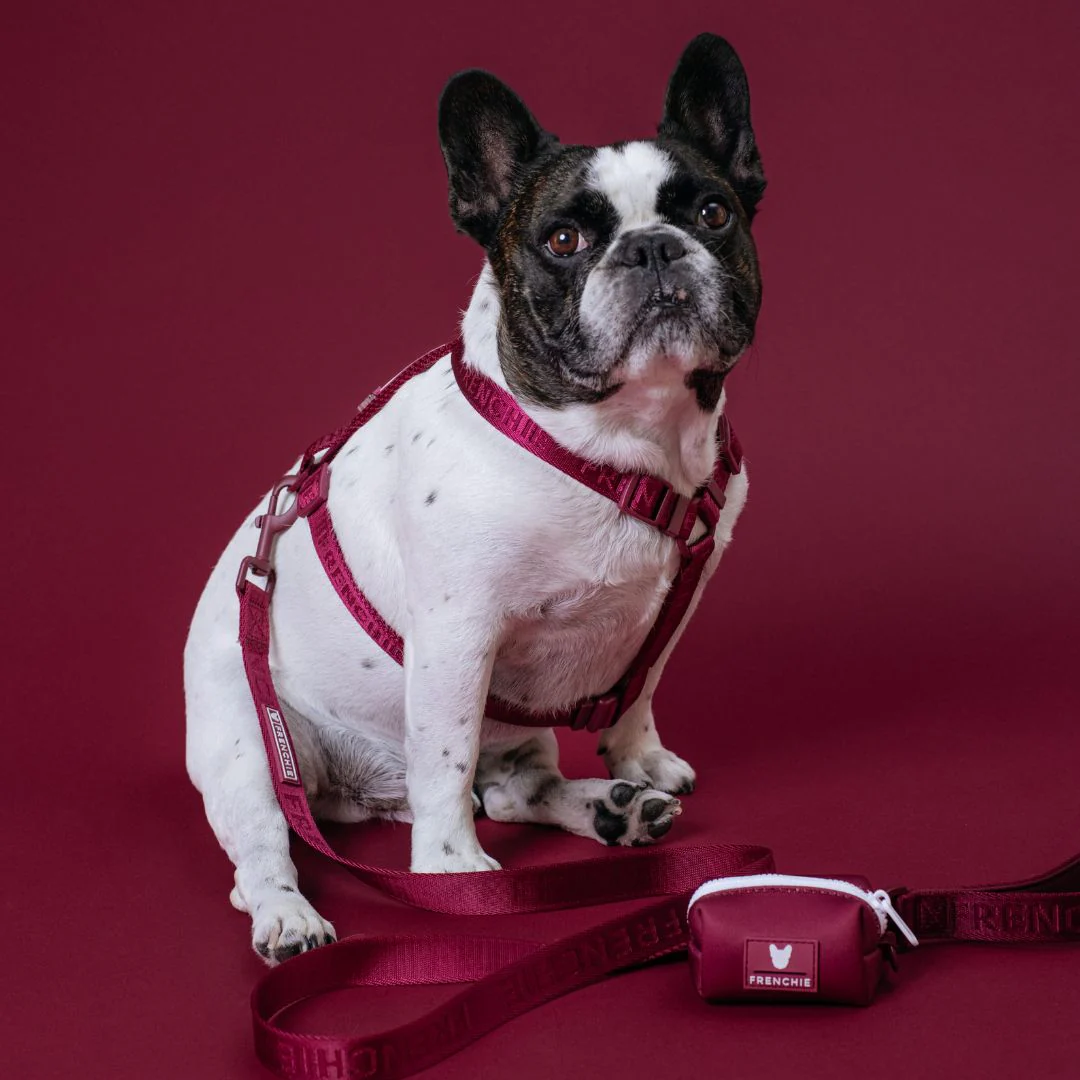 Frenchie Poo Bag Holder - Solid Ruby - Image 6