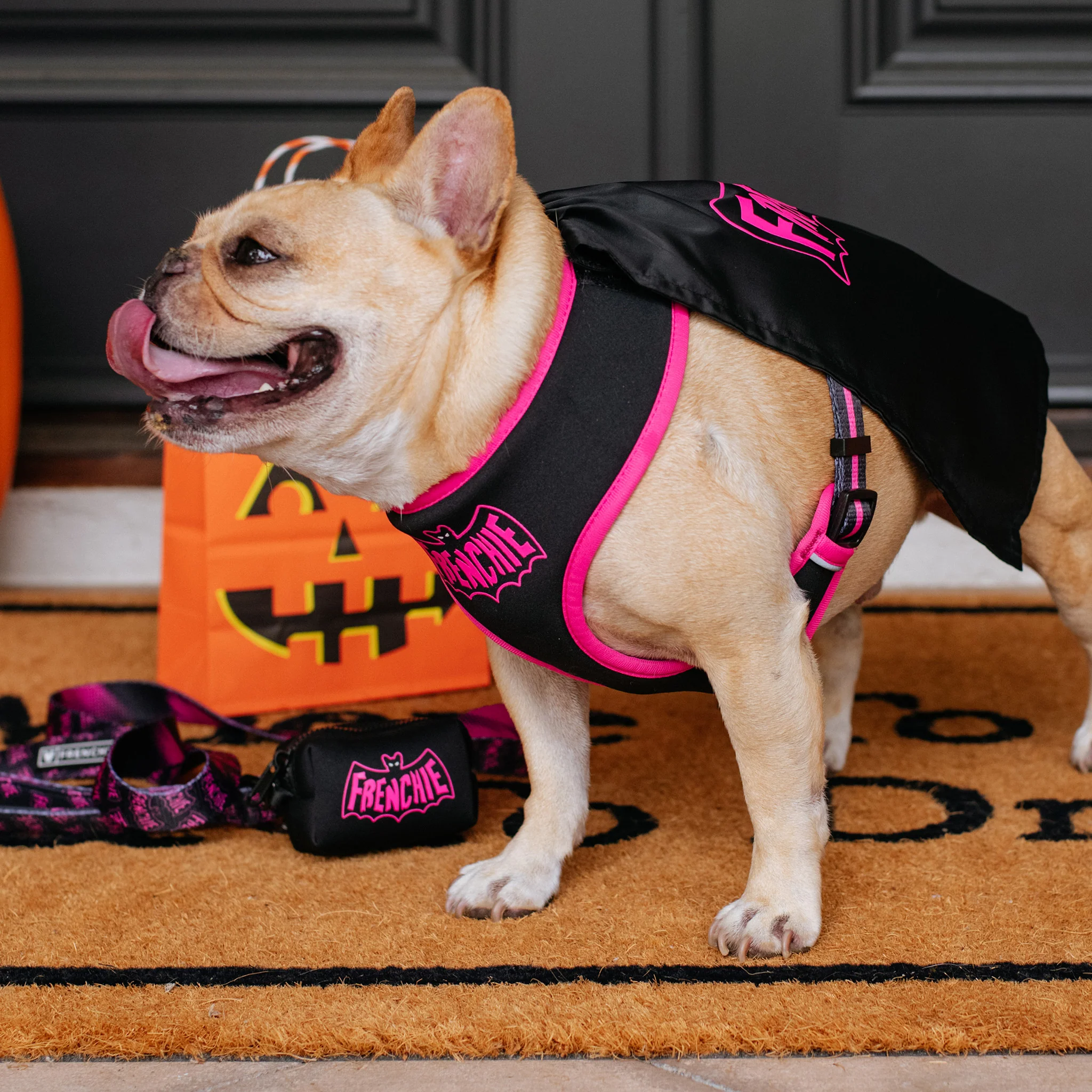 Frenchie Poo Bag Holder - Super Pig (Pink) - Image 6