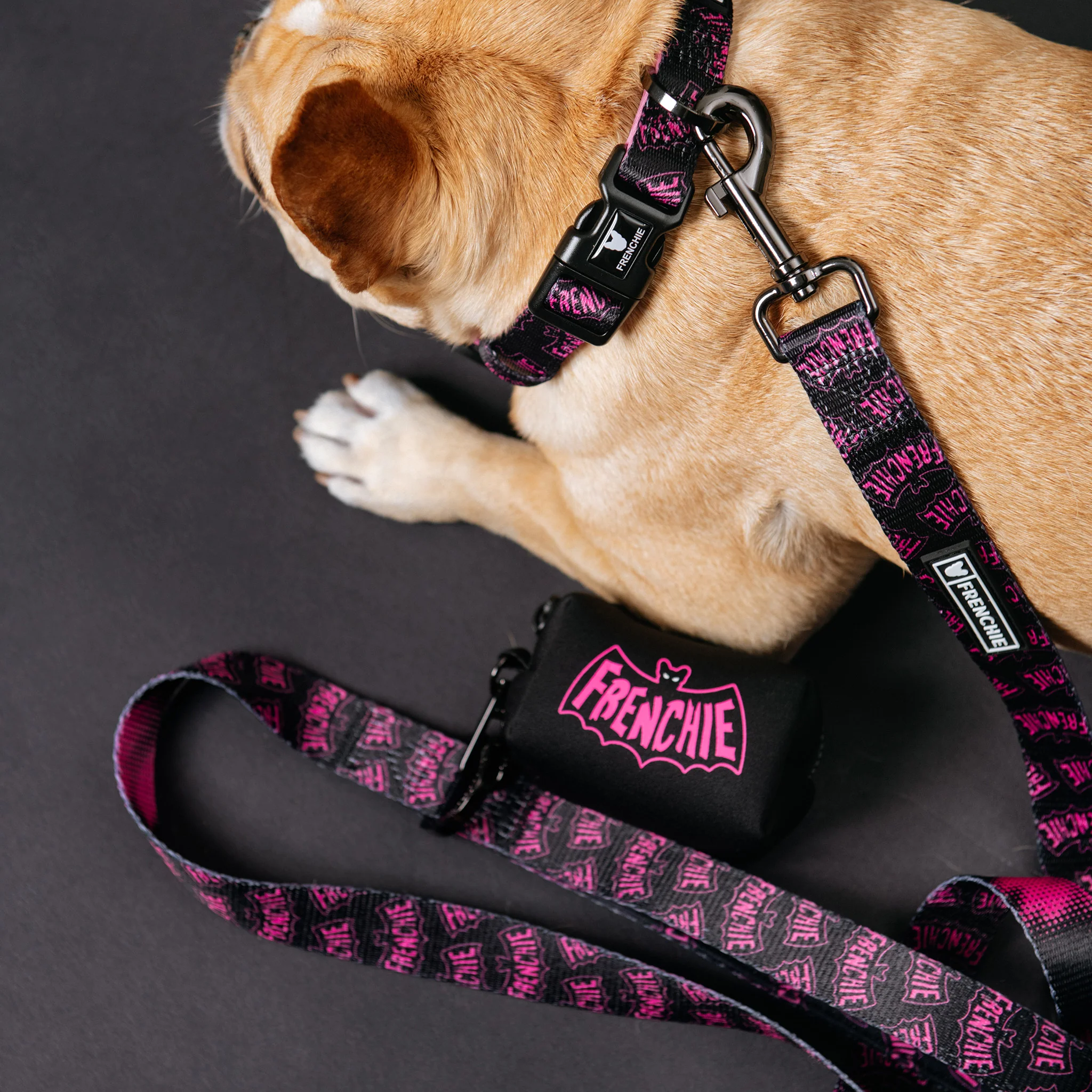 Frenchie Poo Bag Holder - Super Pig (Pink) - Image 7