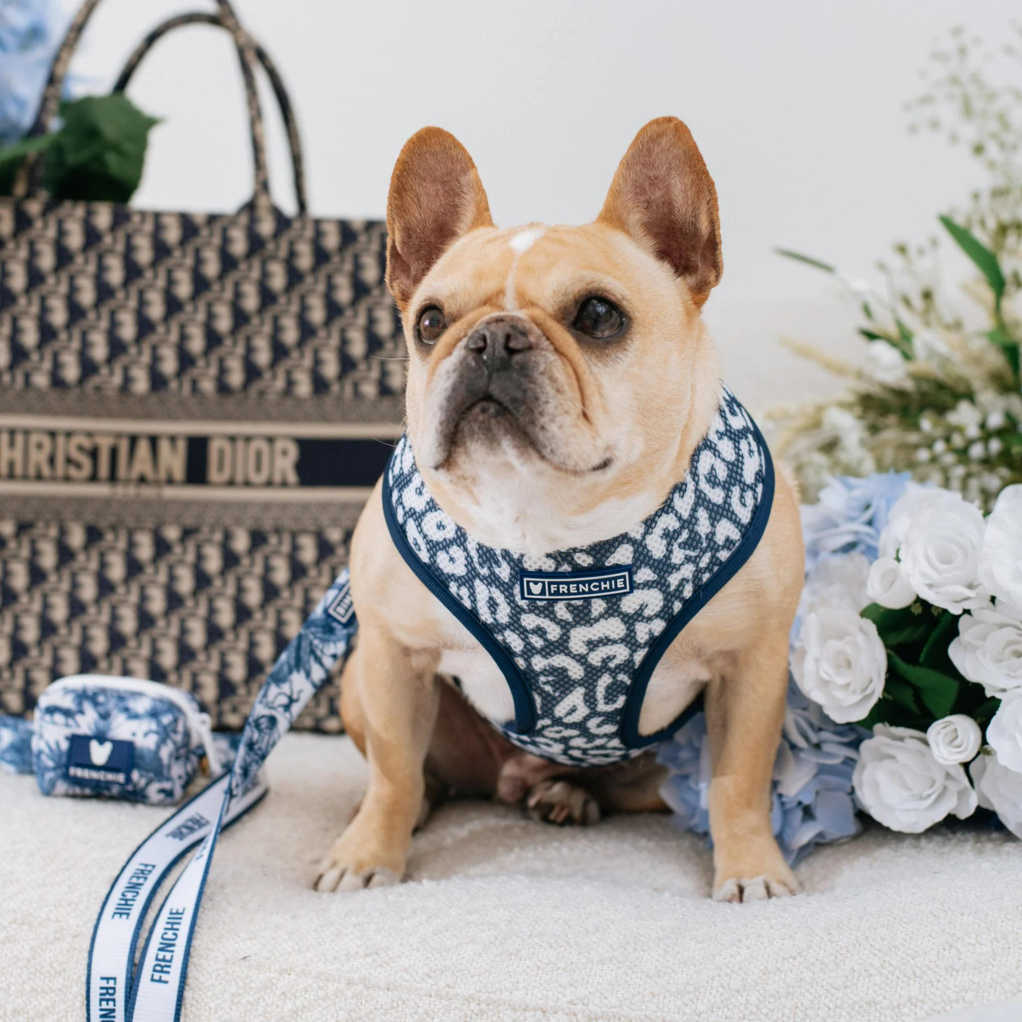 Frenchie Poo Bag Holder - Toile (Blue) - Image 3