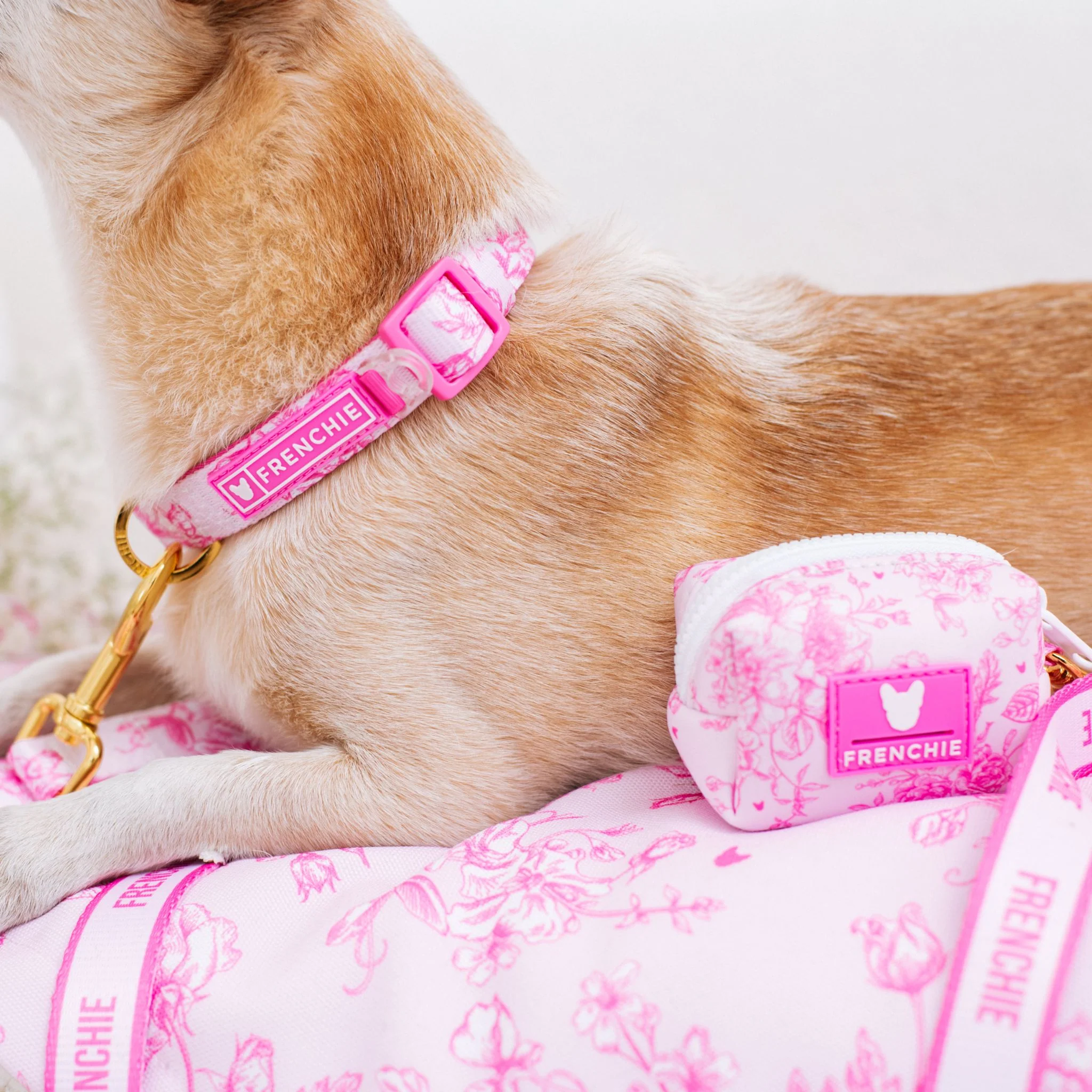 Frenchie Poo Bag Holder - Toile (Pink) - Image 6
