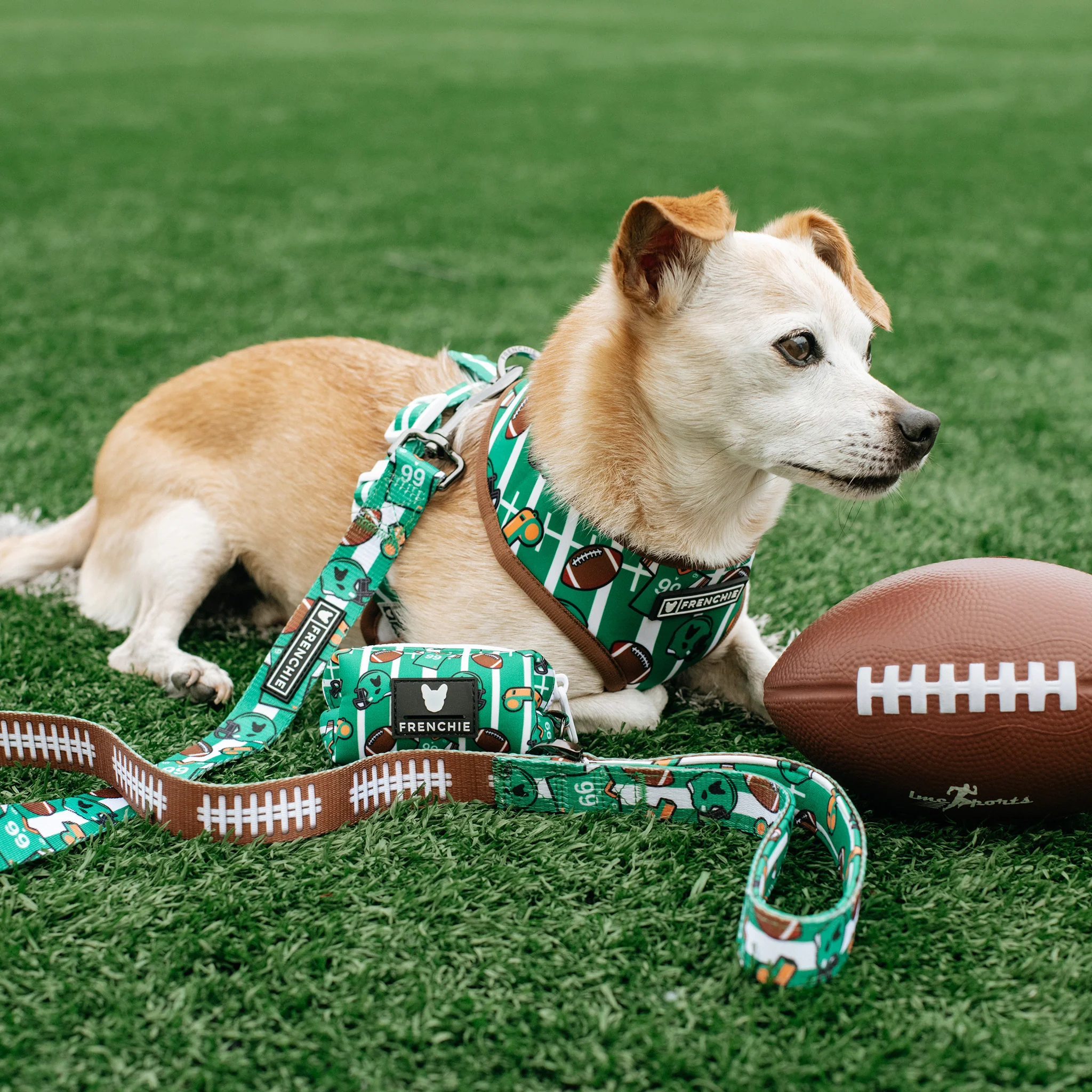Frenchie Poo Bag Holder - Touchdown - Image 2