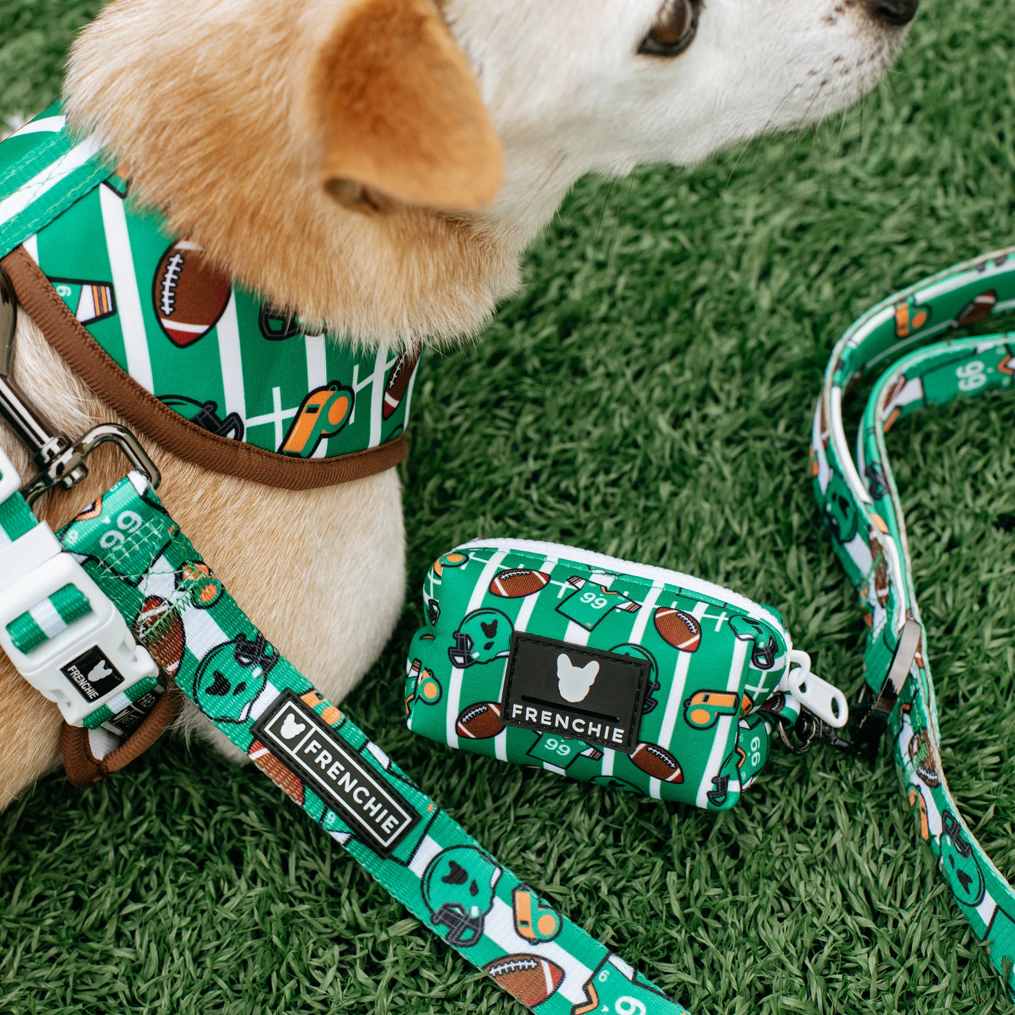 Frenchie Poo Bag Holder - Touchdown - Image 4