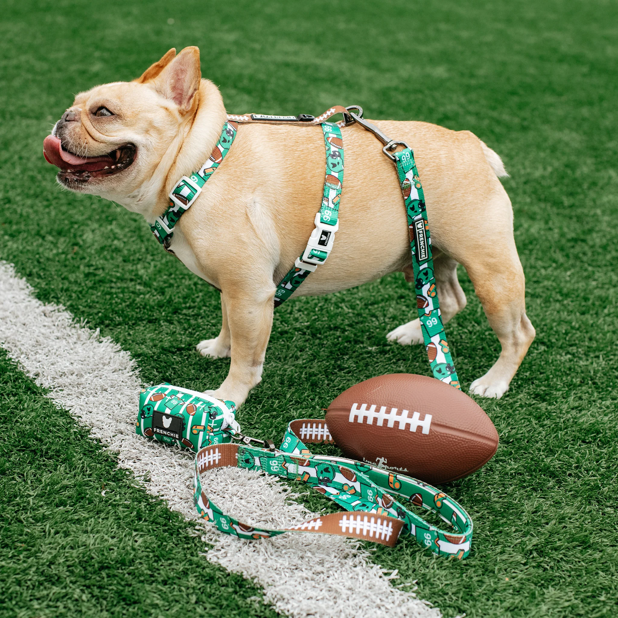 Frenchie Poo Bag Holder - Touchdown - Image 5